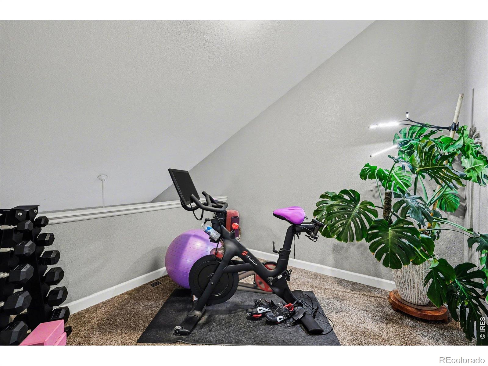MLS Image #19 for 802  waterglen drive,fort collins, Colorado