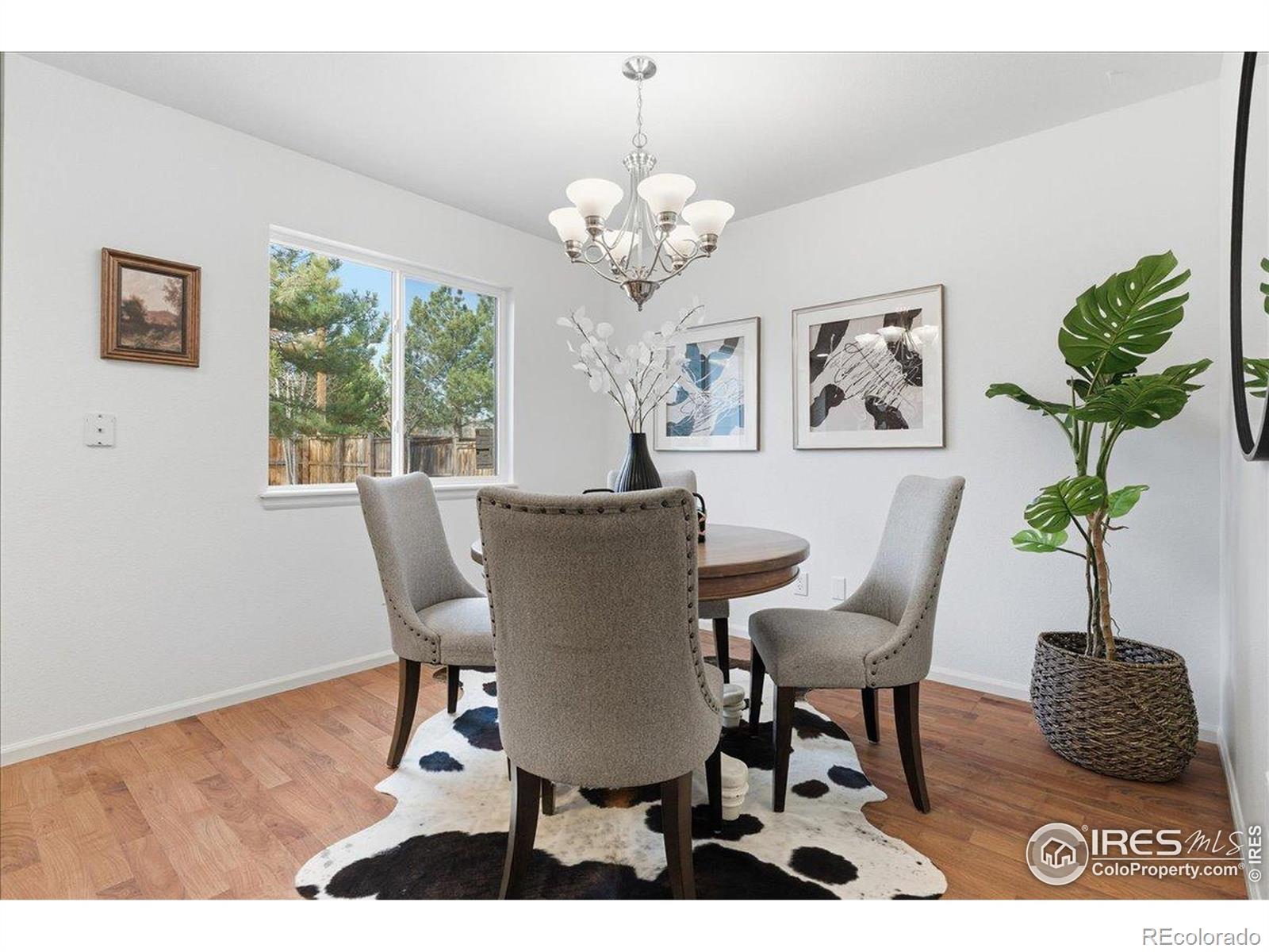 MLS Image #24 for 4321  mesaview lane,fort collins, Colorado