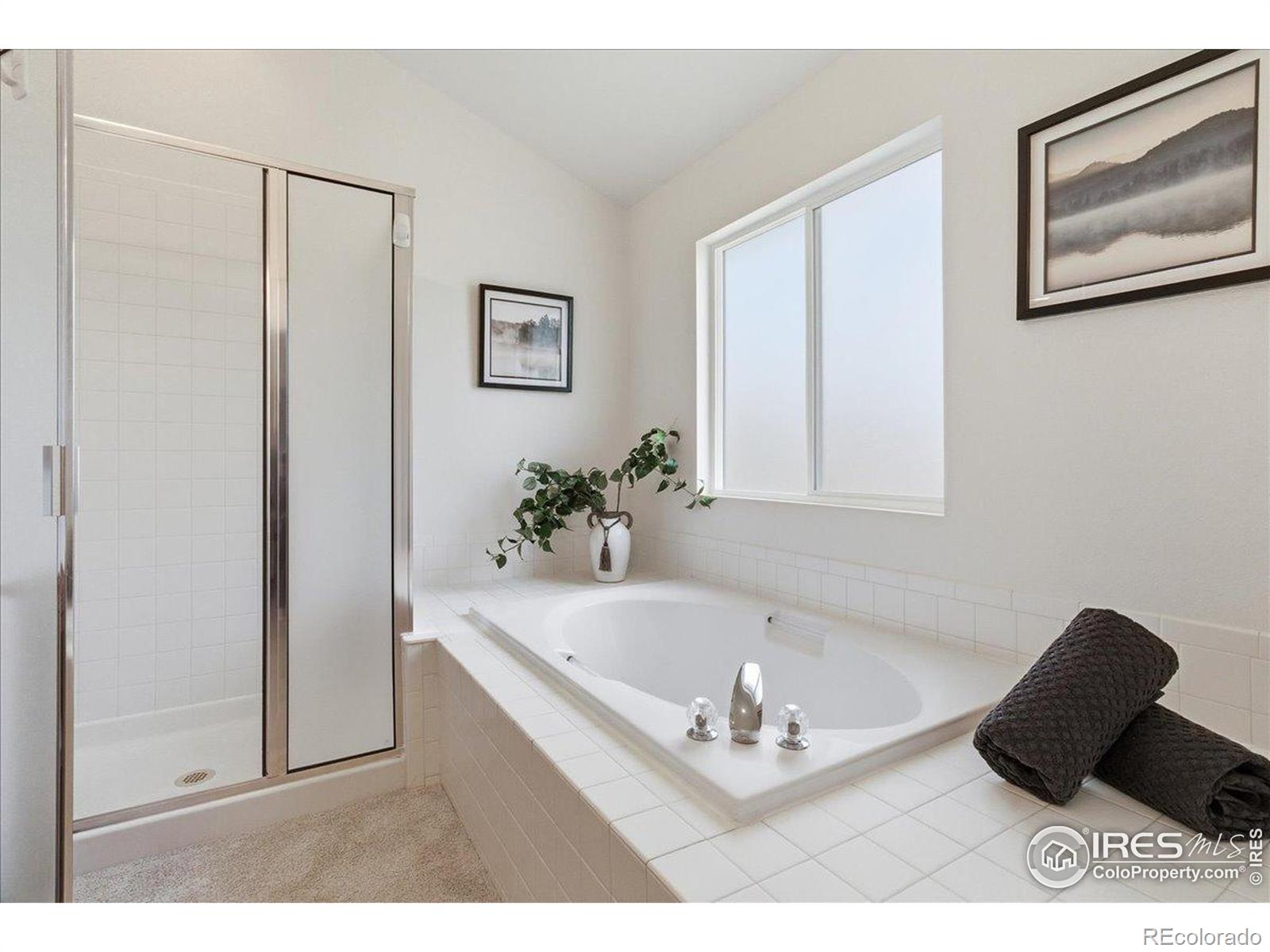 MLS Image #41 for 4321  mesaview lane,fort collins, Colorado
