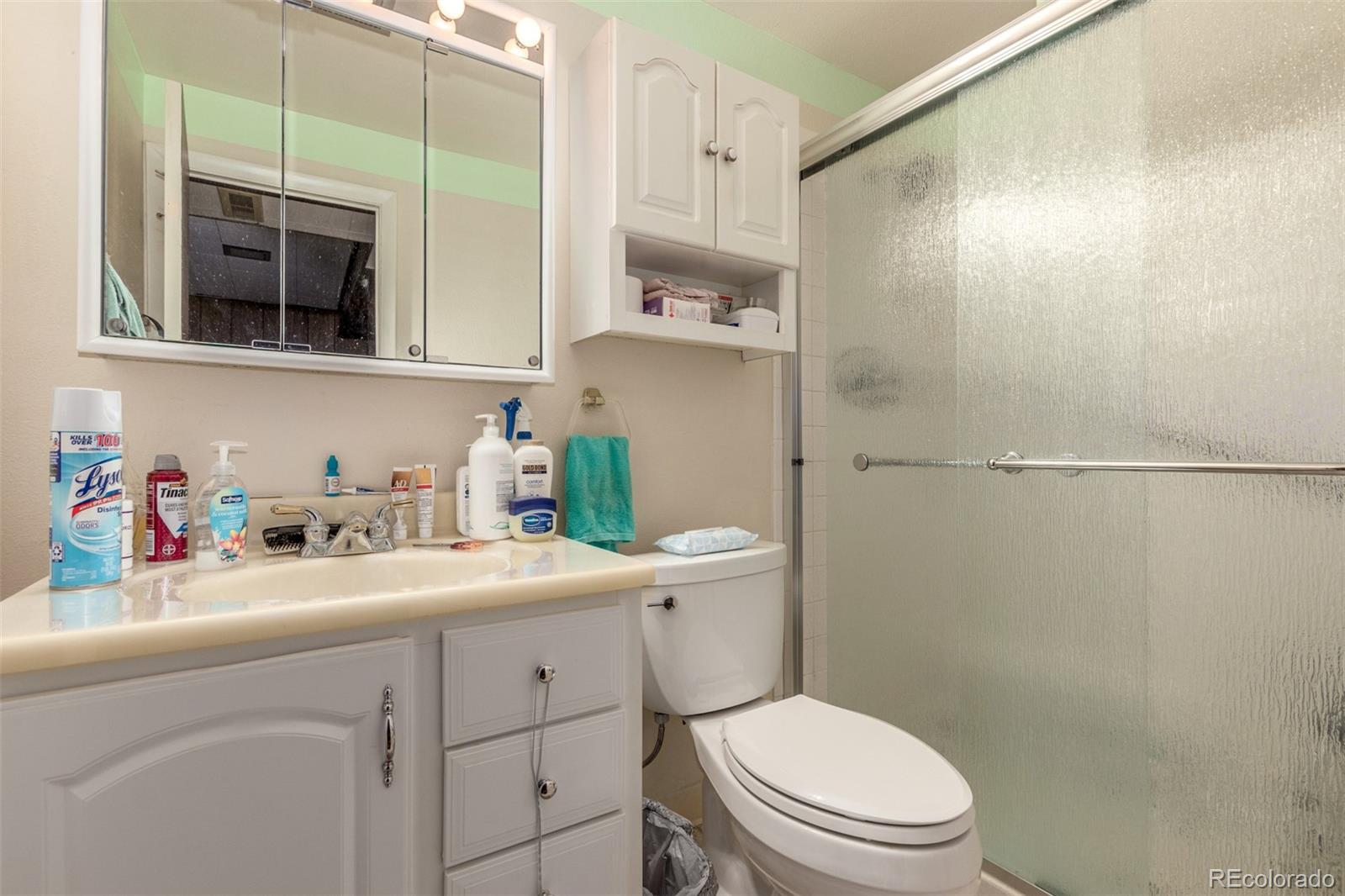 MLS Image #16 for 8414  kendall court,arvada, Colorado