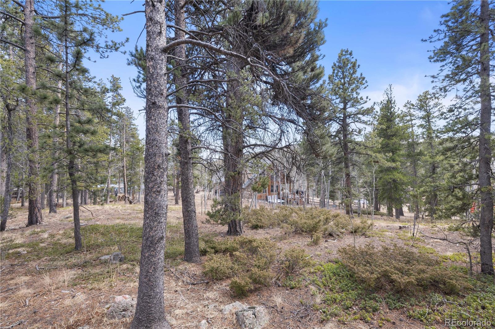 MLS Image #46 for 163 n dory lakes drive,black hawk, Colorado