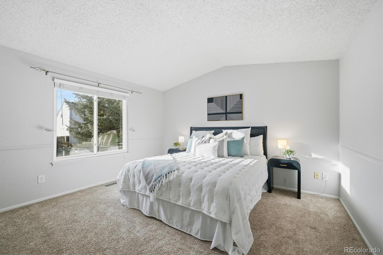 MLS Image #13 for 6843 s everett street,littleton, Colorado