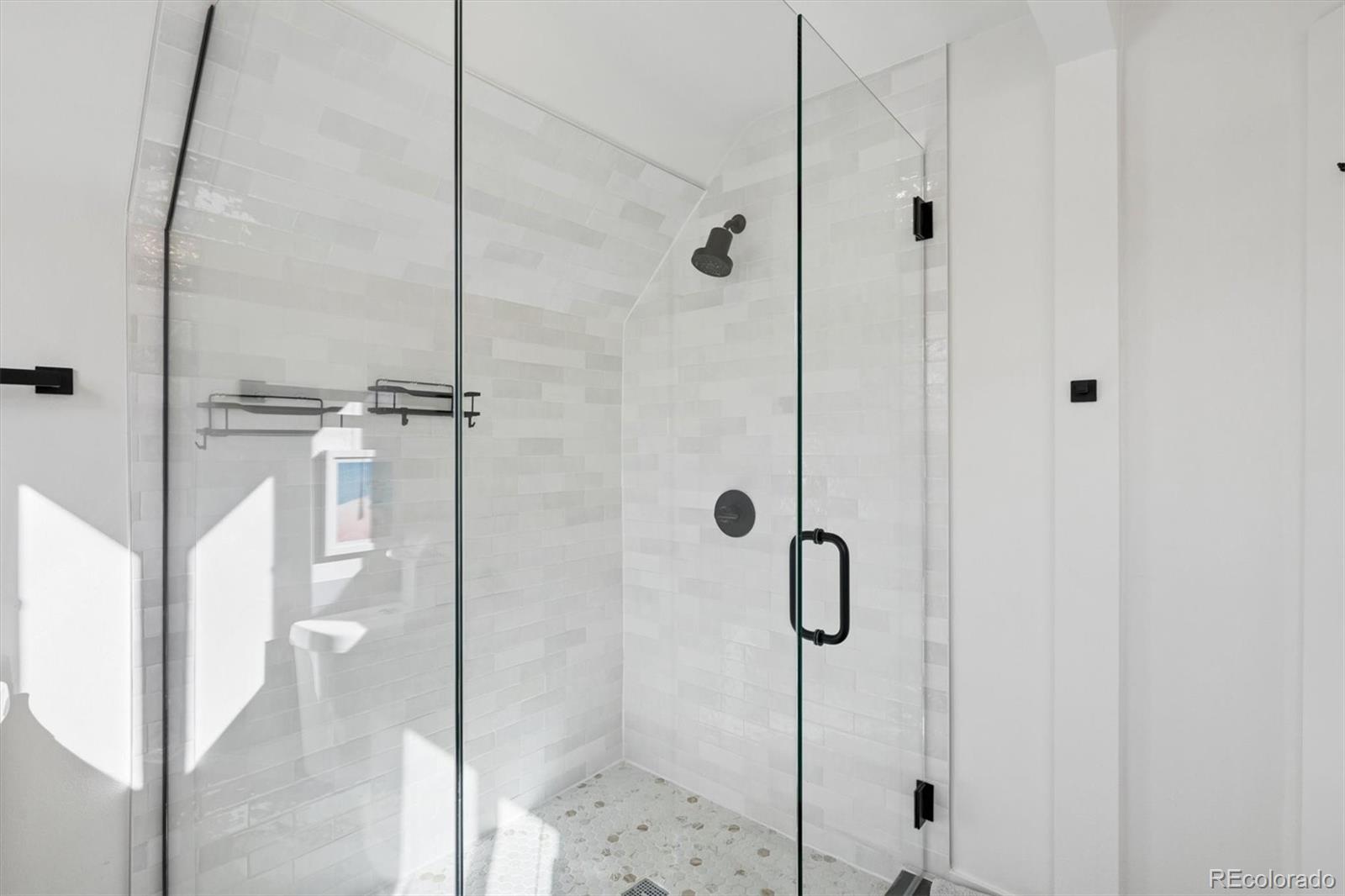 MLS Image #22 for 123 s emerson street,denver, Colorado