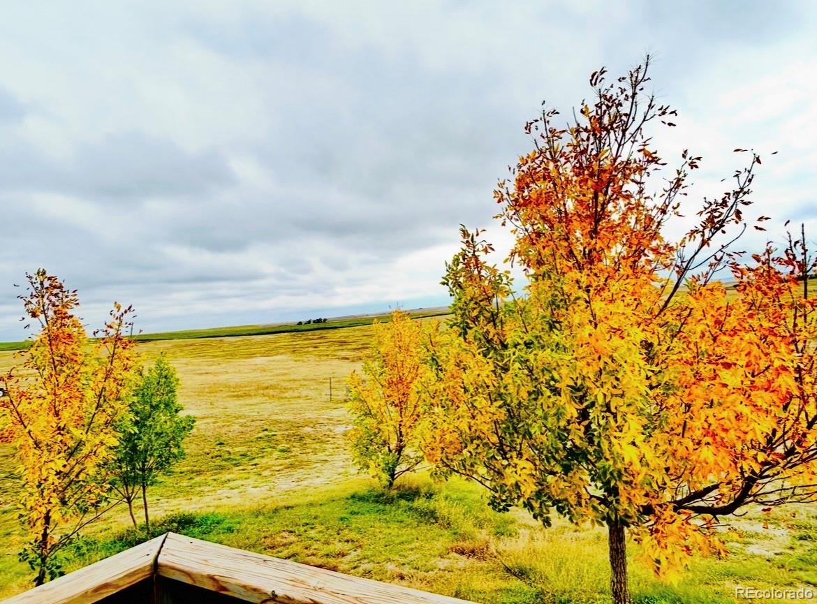 MLS Image #44 for 40100  county road 153 ,agate, Colorado
