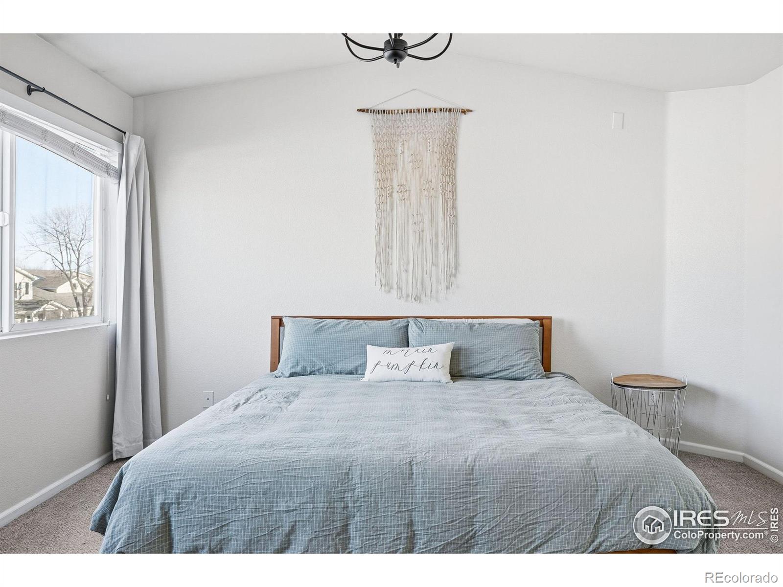 MLS Image #19 for 1273  trail ridge road,longmont, Colorado