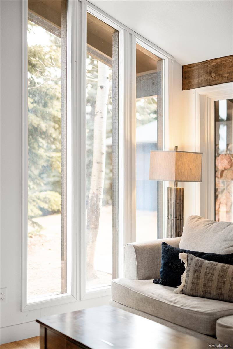MLS Image #15 for 29176  little big horn drive,evergreen, Colorado