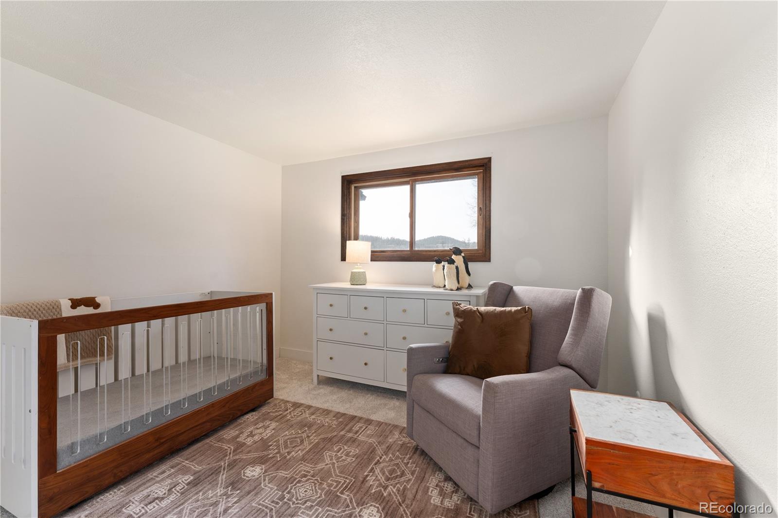 MLS Image #23 for 29176  little big horn drive,evergreen, Colorado