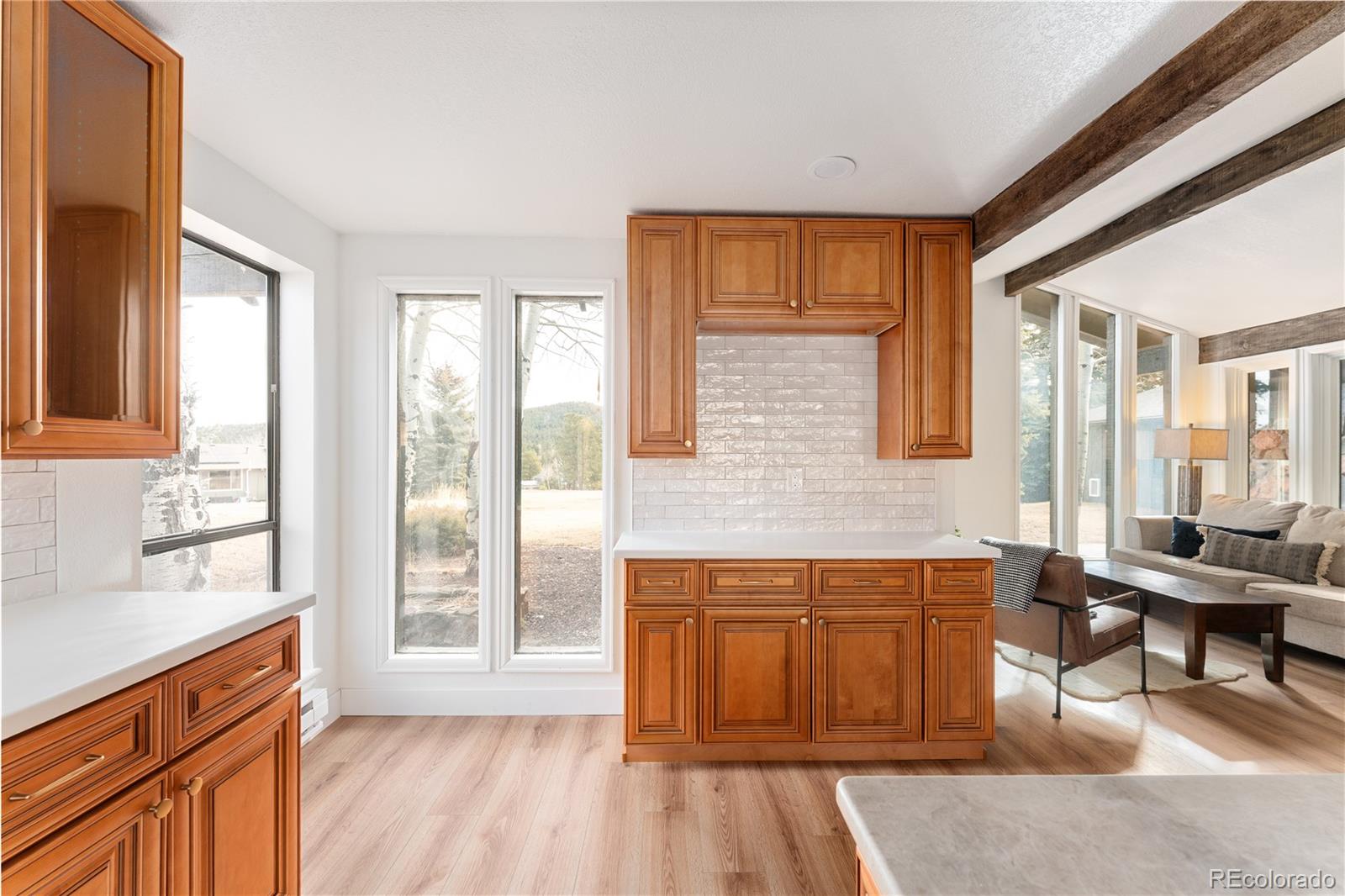 MLS Image #6 for 29176  little big horn drive,evergreen, Colorado