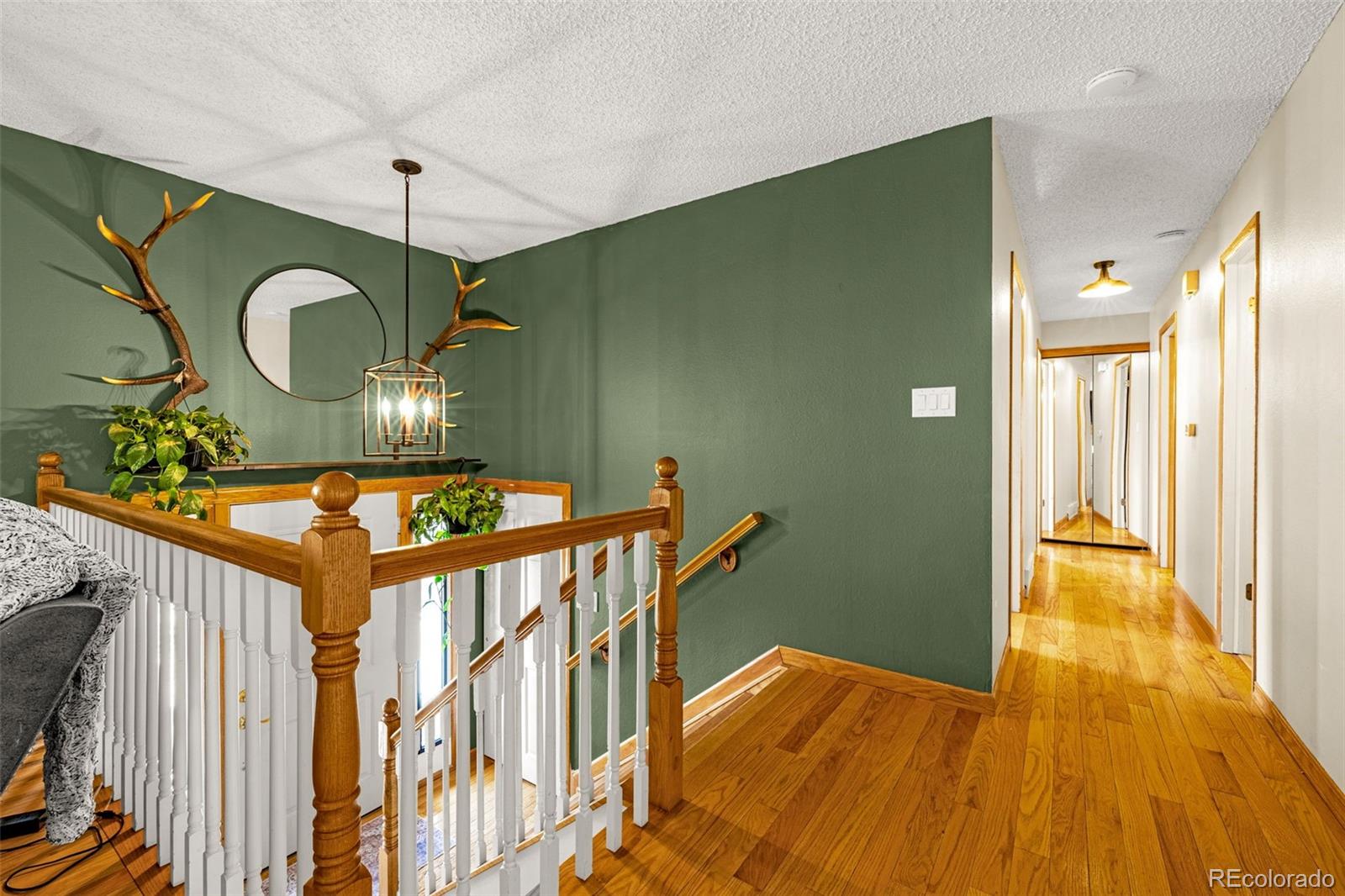 MLS Image #5 for 3110  meander circle,colorado springs, Colorado