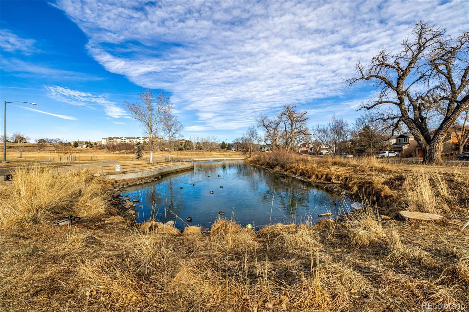 MLS Image #21 for 2927 w 81st avenue,westminster, Colorado