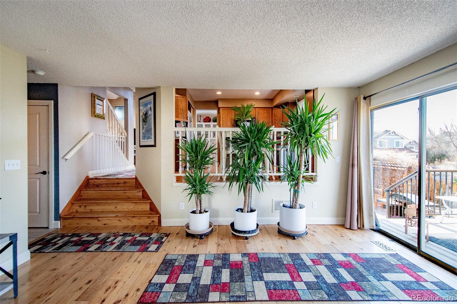 MLS Image #12 for 4855 n sungold lane,castle rock, Colorado