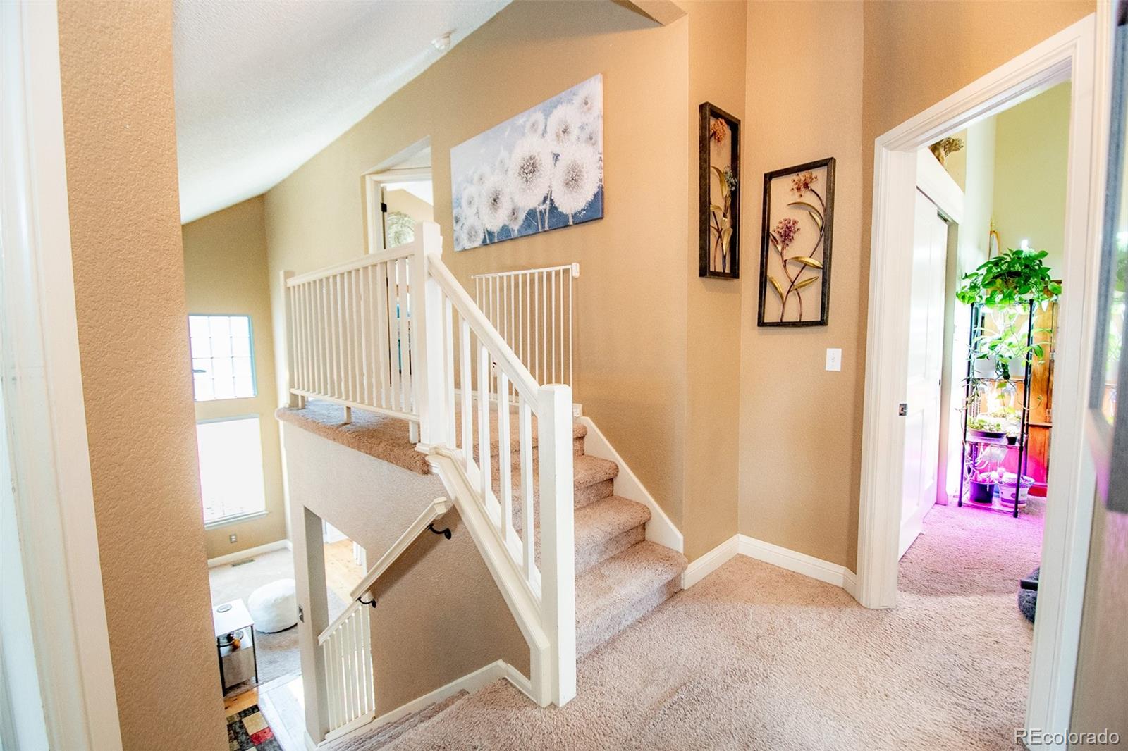 MLS Image #13 for 4855 n sungold lane,castle rock, Colorado