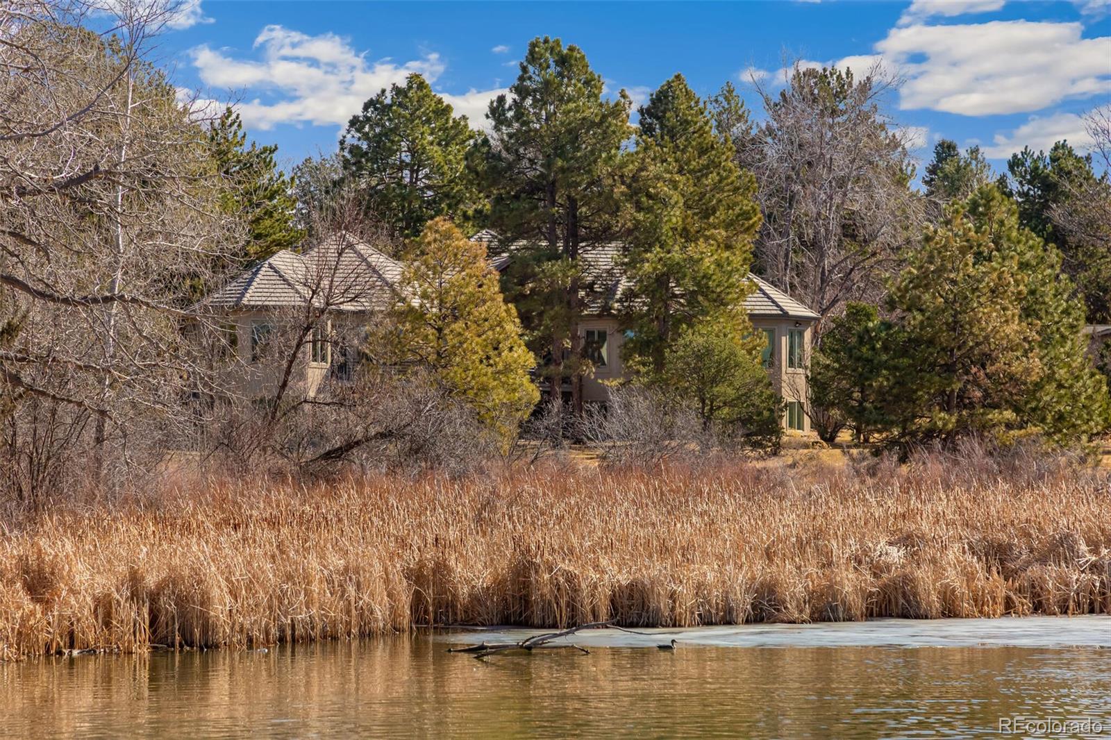 MLS Image #2 for 9444 e orchard drive,greenwood village, Colorado