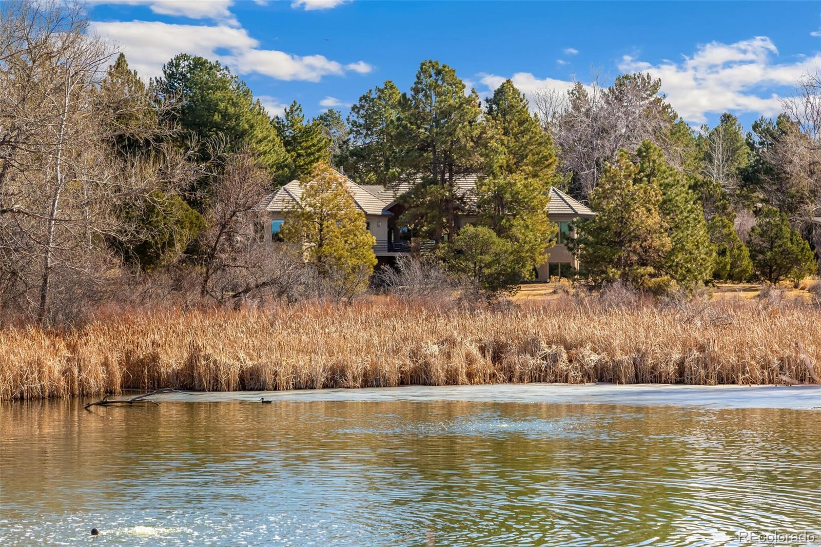 MLS Image #42 for 9444 e orchard drive,greenwood village, Colorado