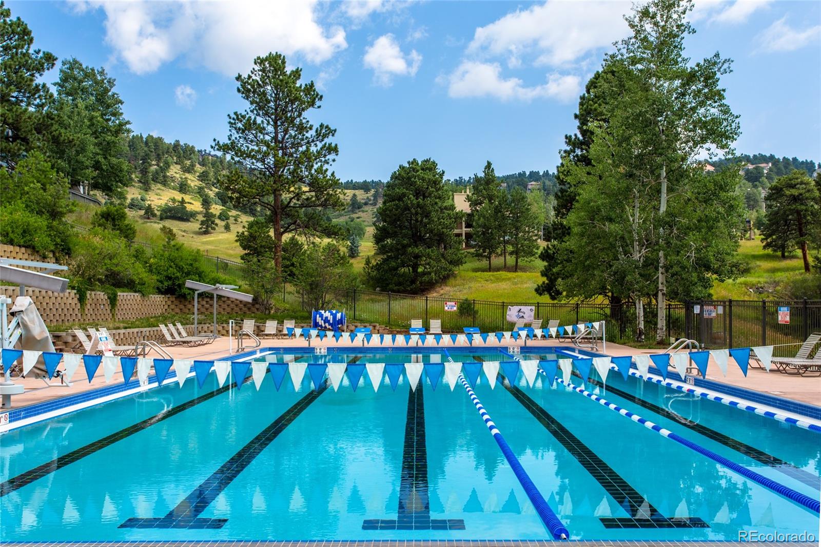 MLS Image #48 for 942  gilia drive,golden, Colorado