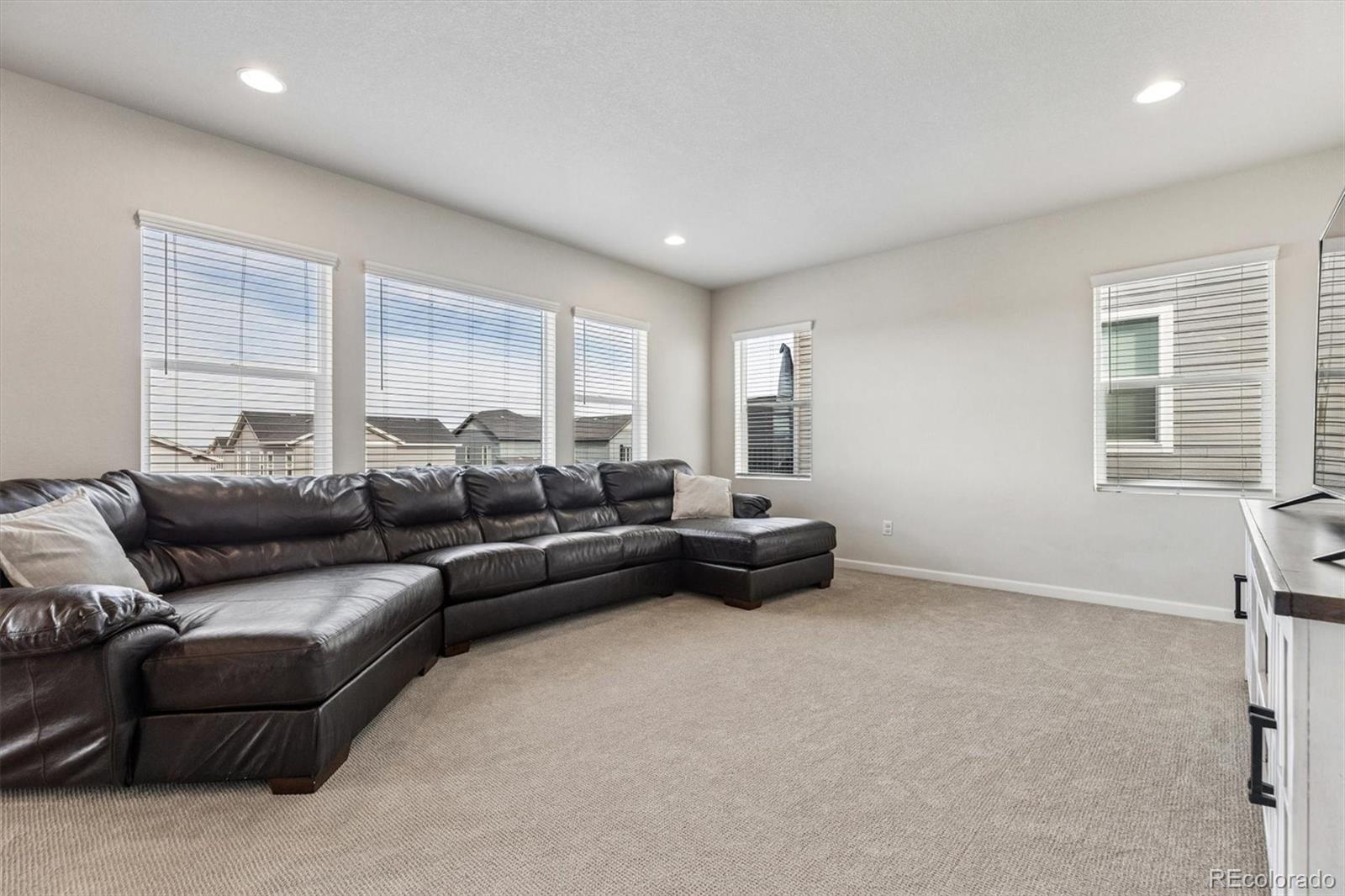 MLS Image #13 for 4998  basalt ridge circle,castle rock, Colorado