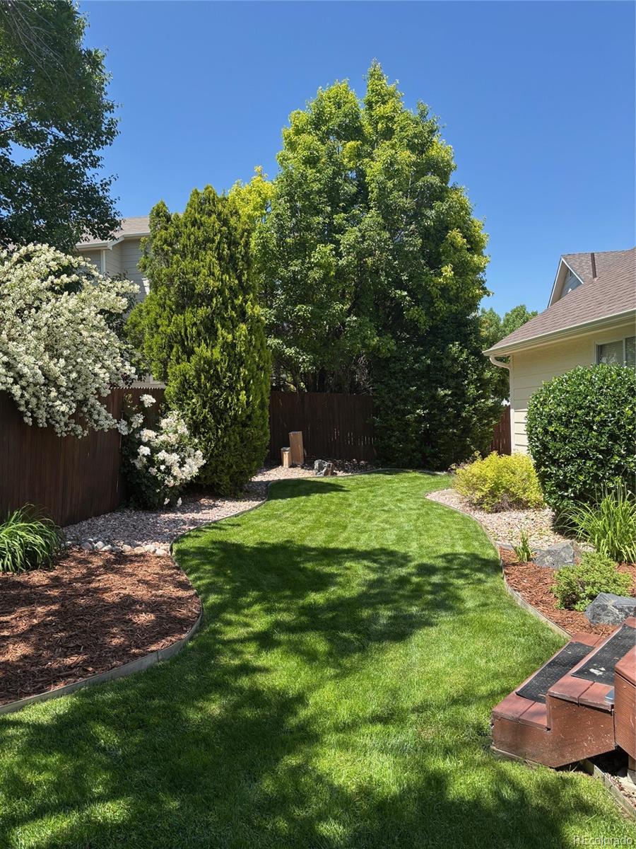 MLS Image #42 for 13585  shoshone street,denver, Colorado