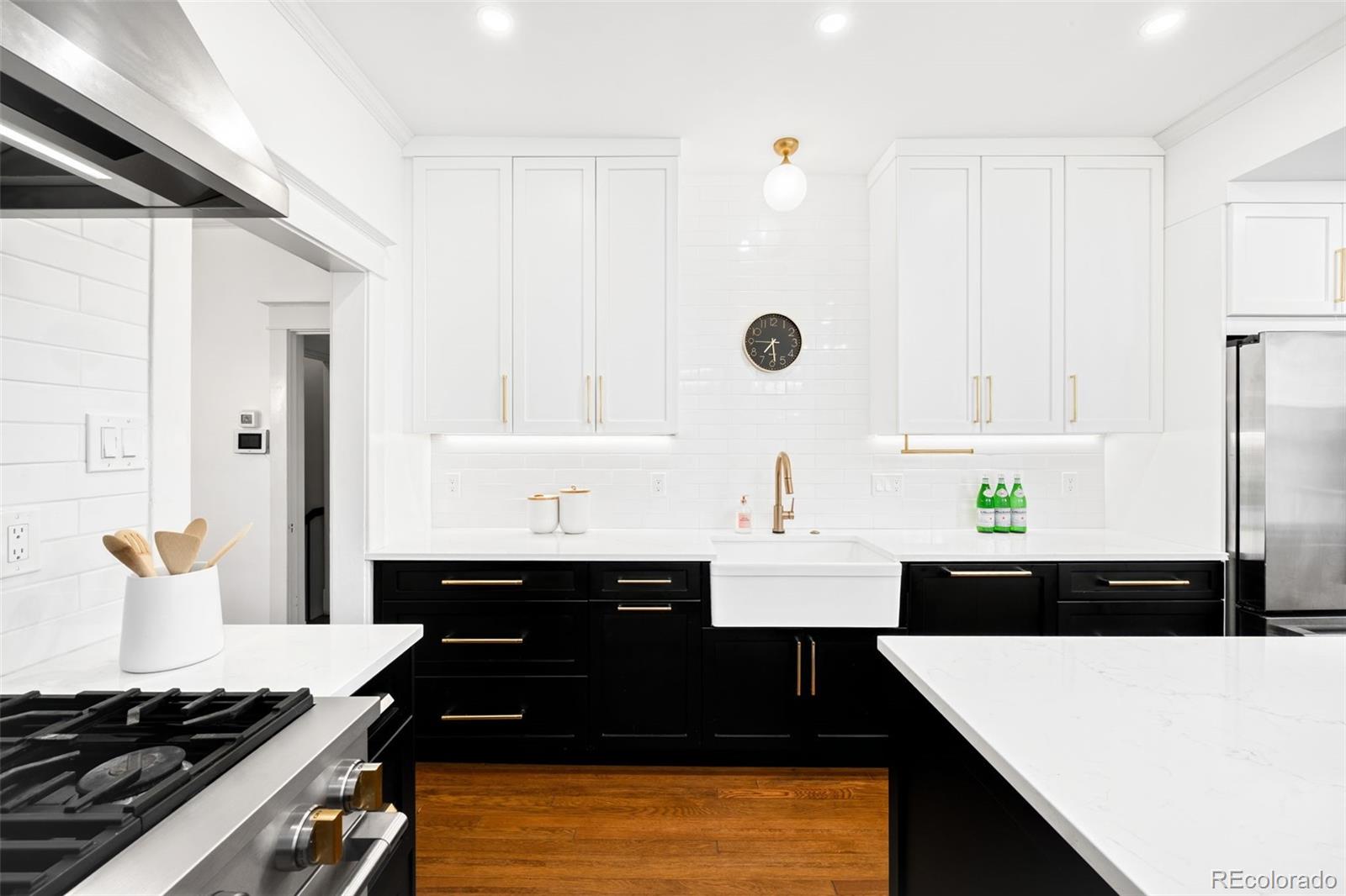 MLS Image #3 for 1013  adams street,denver, Colorado