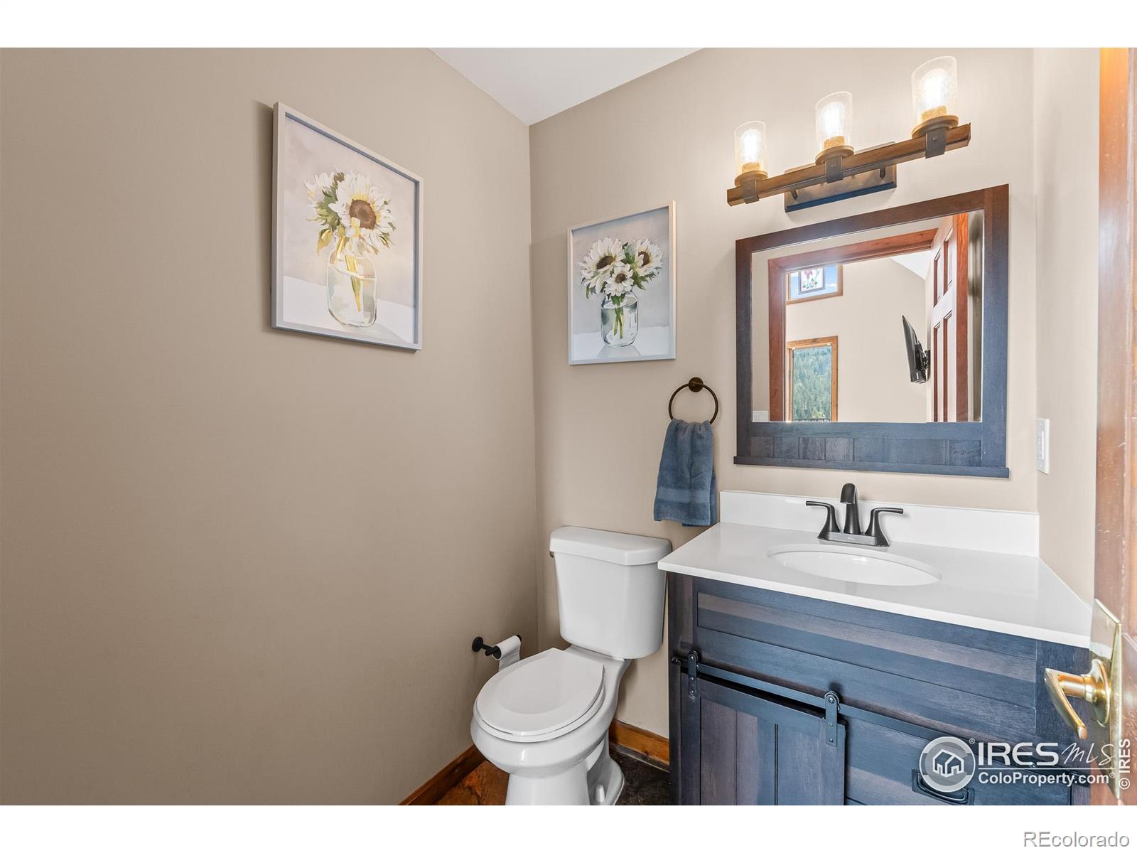 MLS Image #16 for 317  dunraven glade road,glen haven, Colorado