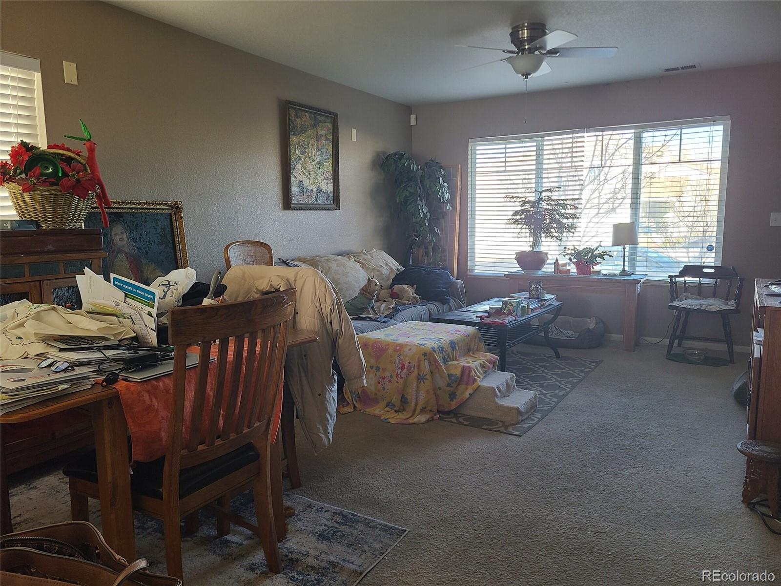 MLS Image #4 for 4315  orleans street,denver, Colorado