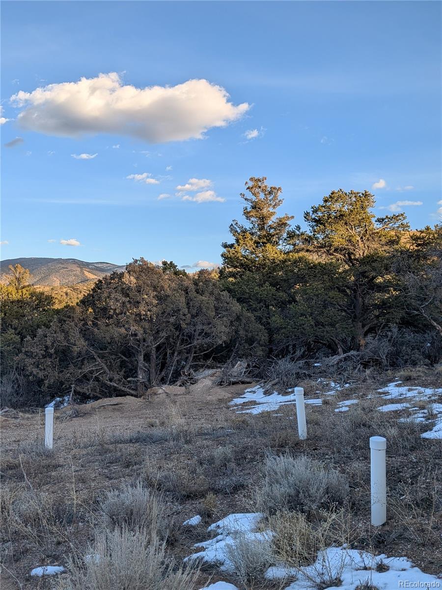 MLS Image #17 for 2332  sandoval road,fort garland, Colorado