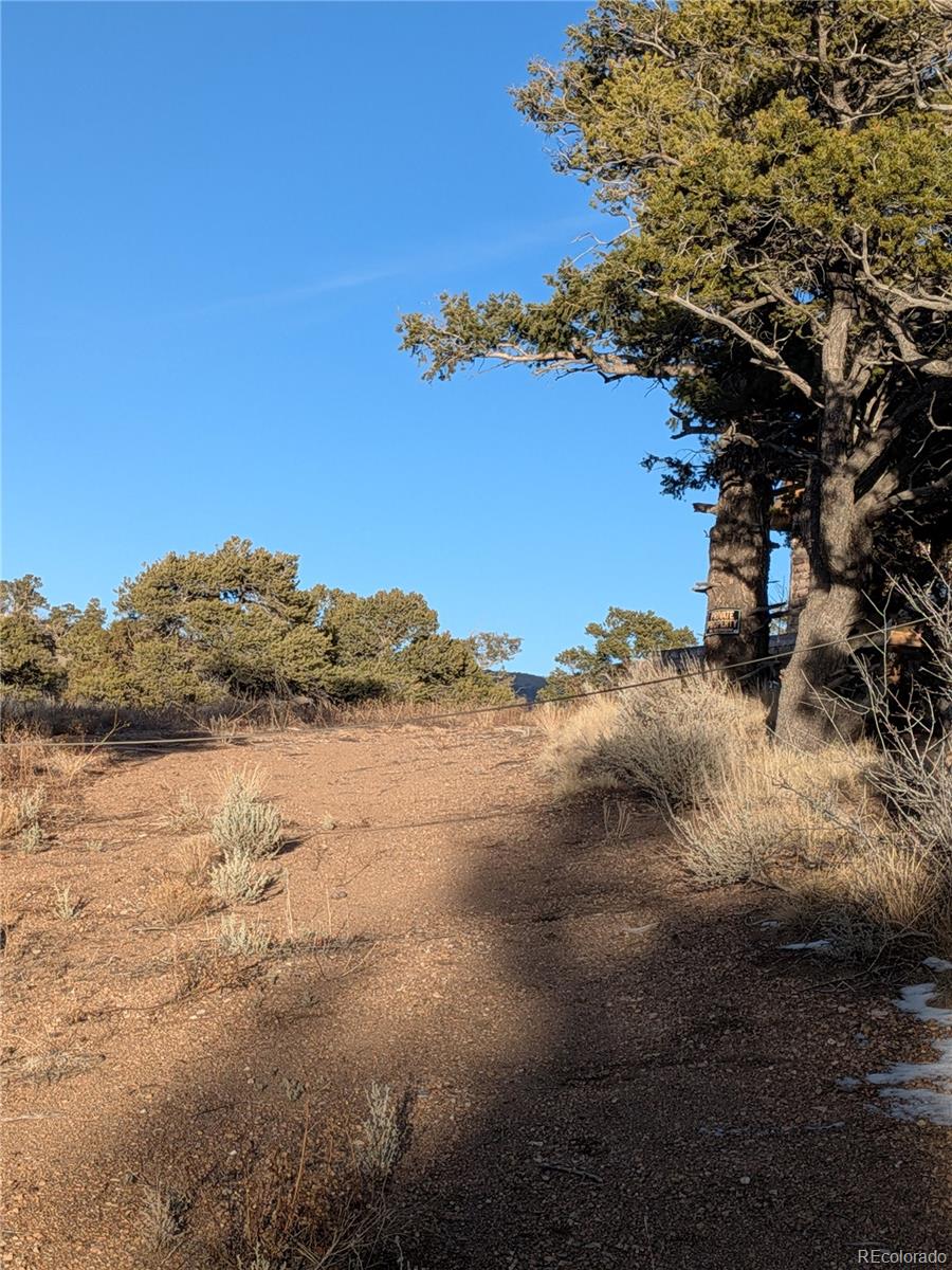 MLS Image #18 for 2332  sandoval road,fort garland, Colorado