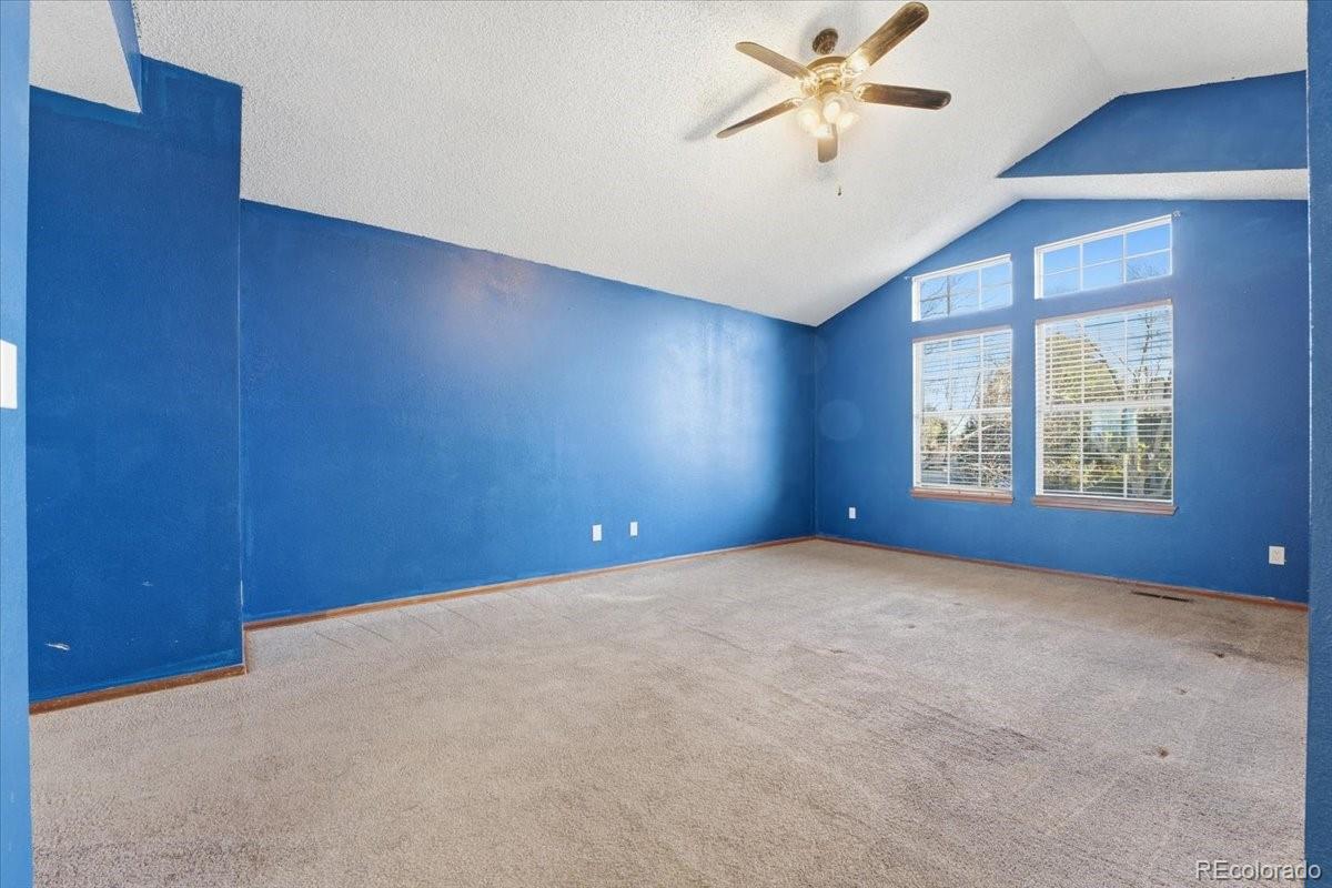 MLS Image #19 for 4319 w sawmill court,castle rock, Colorado