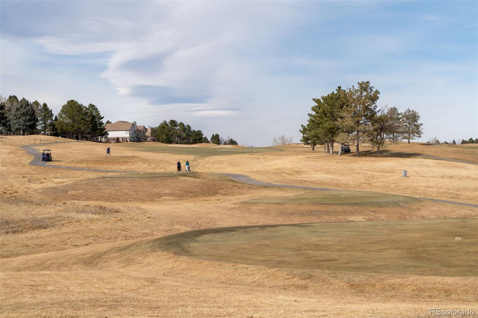 MLS Image #47 for 9838  cypress point circle,lone tree, Colorado