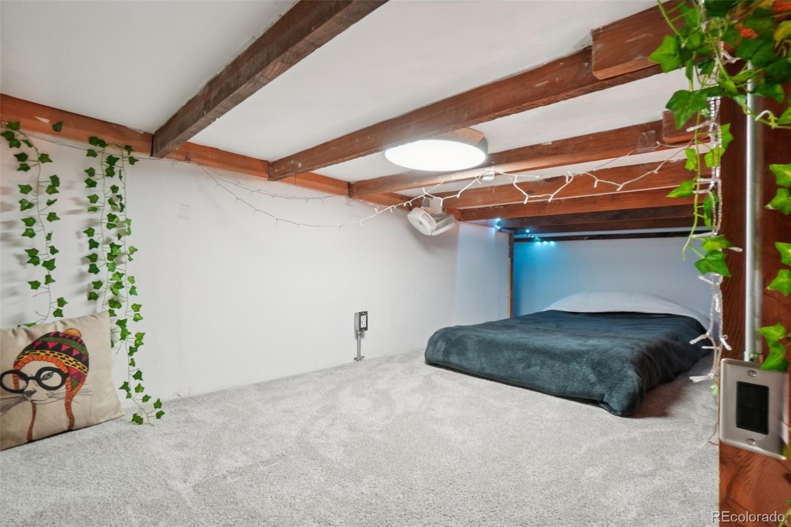 MLS Image #19 for 610 n logan street,denver, Colorado