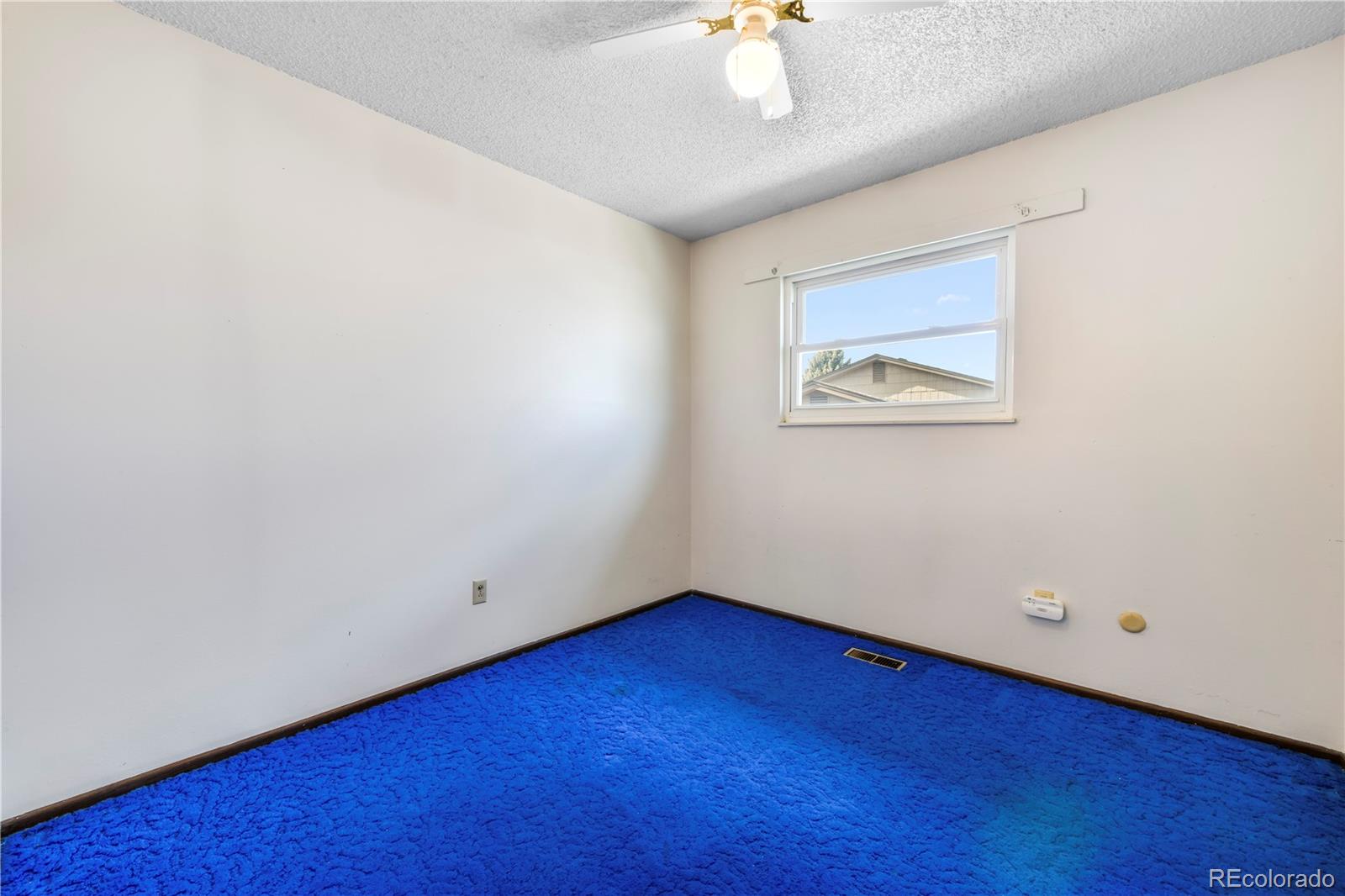MLS Image #18 for 5050  manzana drive,colorado springs, Colorado