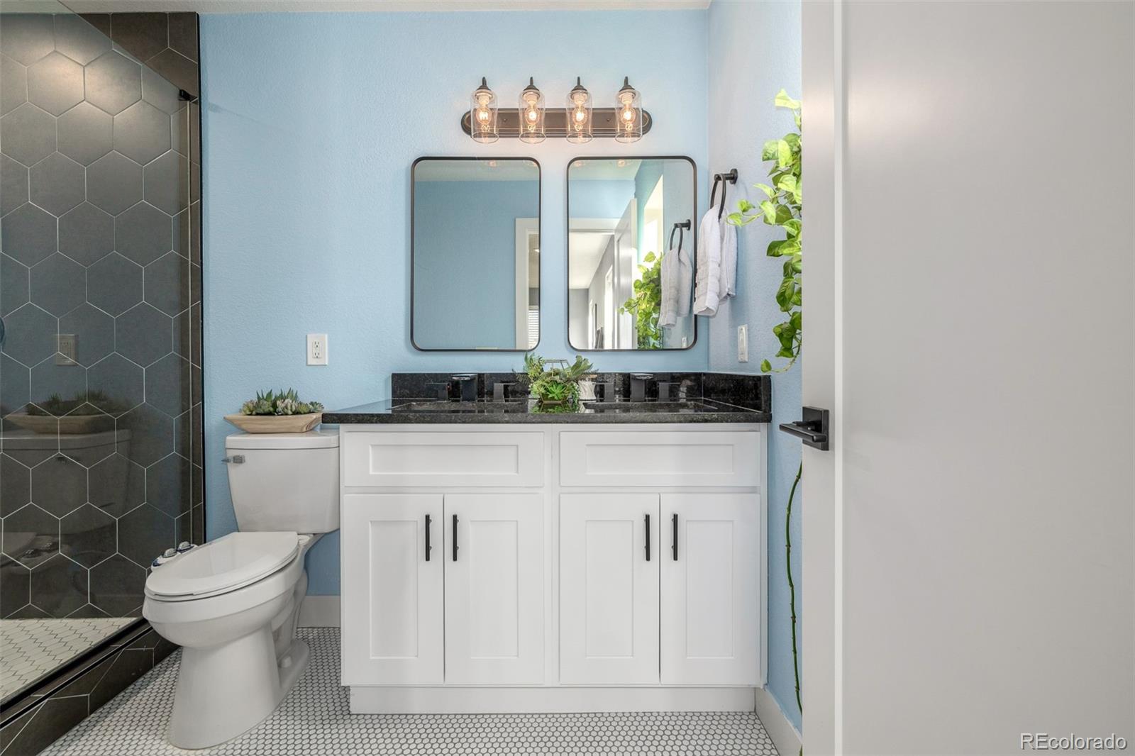 MLS Image #23 for 550 s raleigh street,denver, Colorado