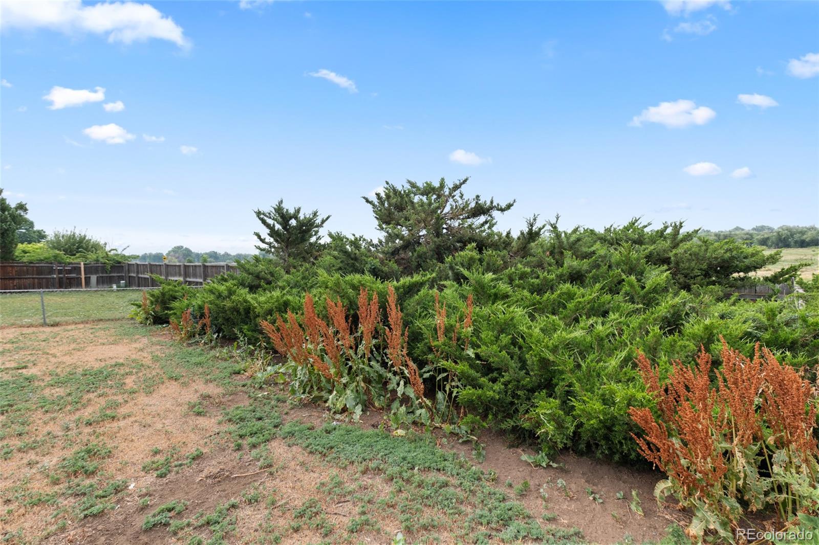 MLS Image #31 for 9022 w washburn place,lakewood, Colorado