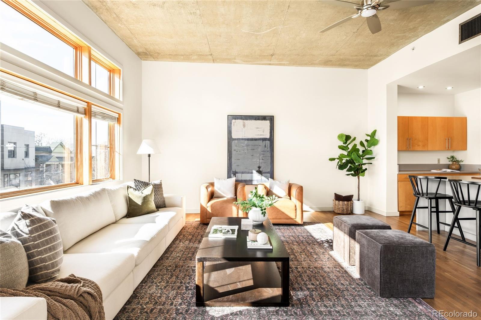 MLS Image #0 for 1925 w 32nd avenue 203,denver, Colorado