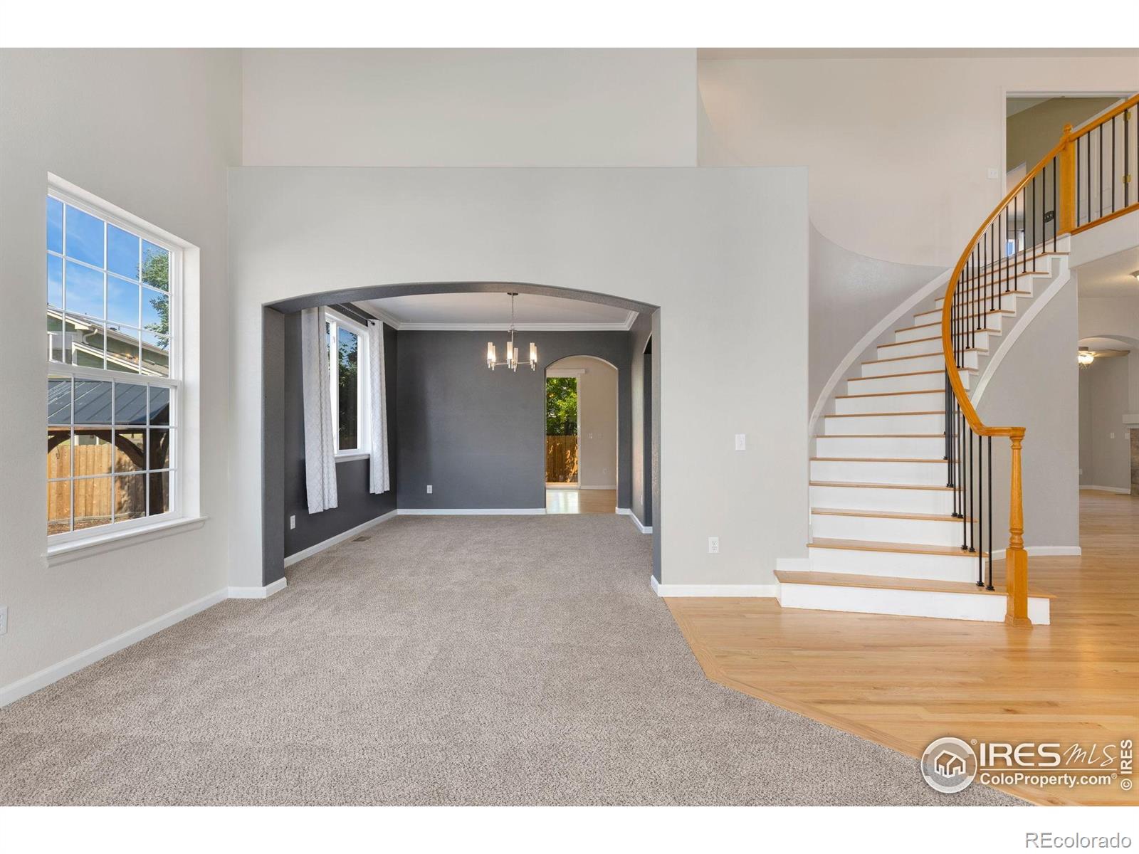 MLS Image #3 for 2010  glenarbor court,longmont, Colorado