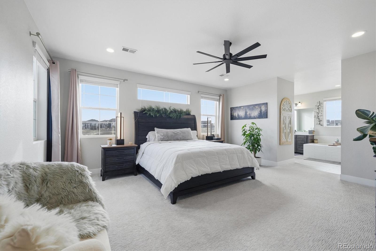 MLS Image #17 for 3069  carabiner street,castle rock, Colorado