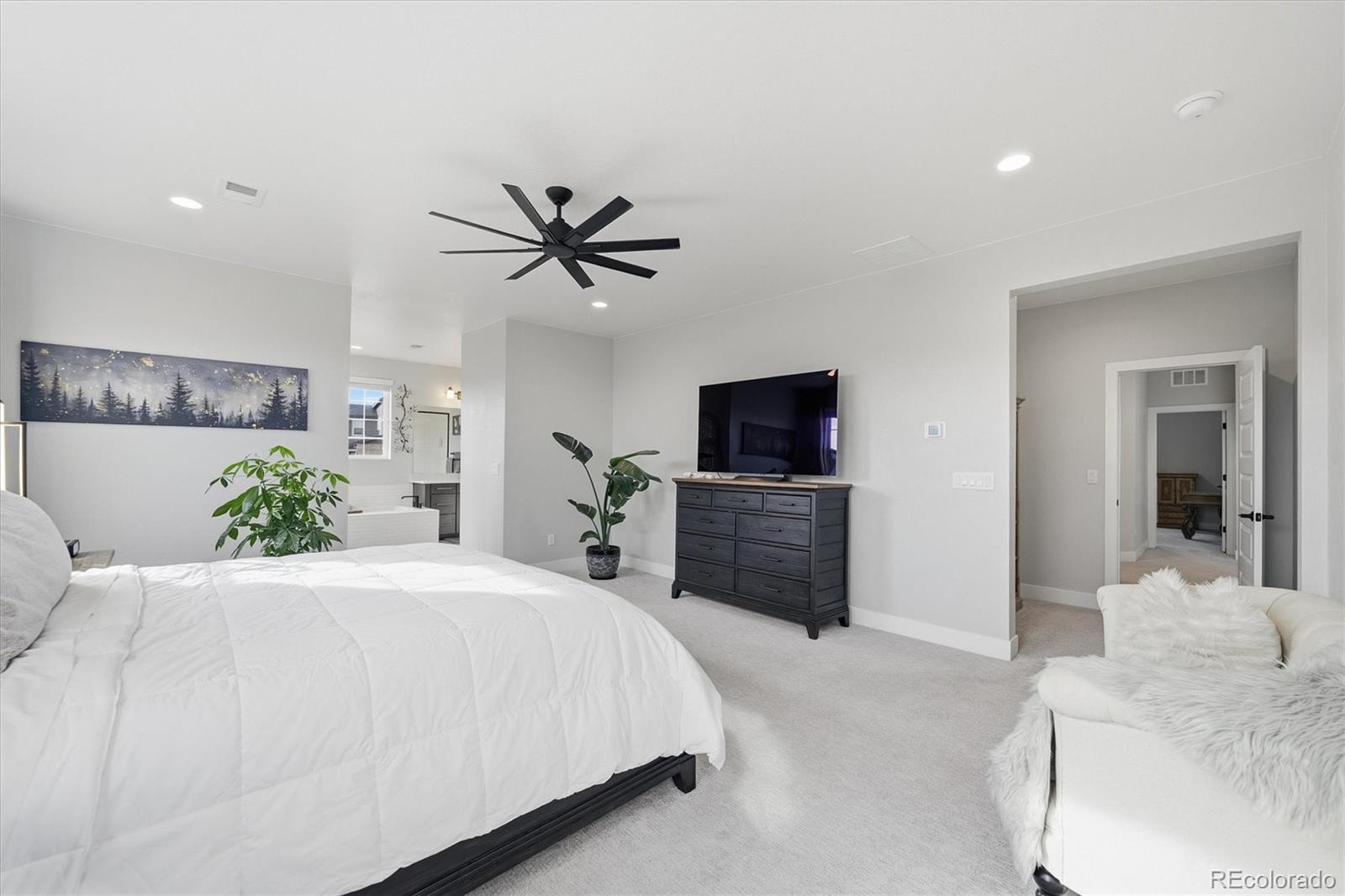 MLS Image #18 for 3069  carabiner street,castle rock, Colorado