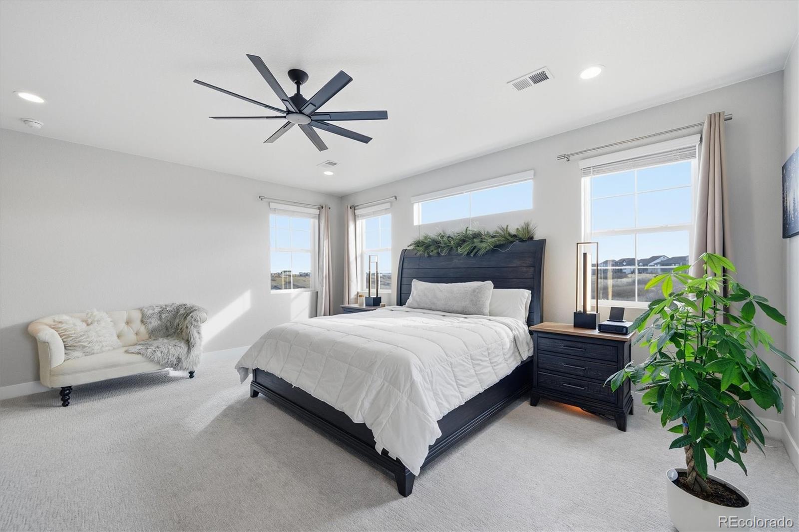 MLS Image #19 for 3069  carabiner street,castle rock, Colorado