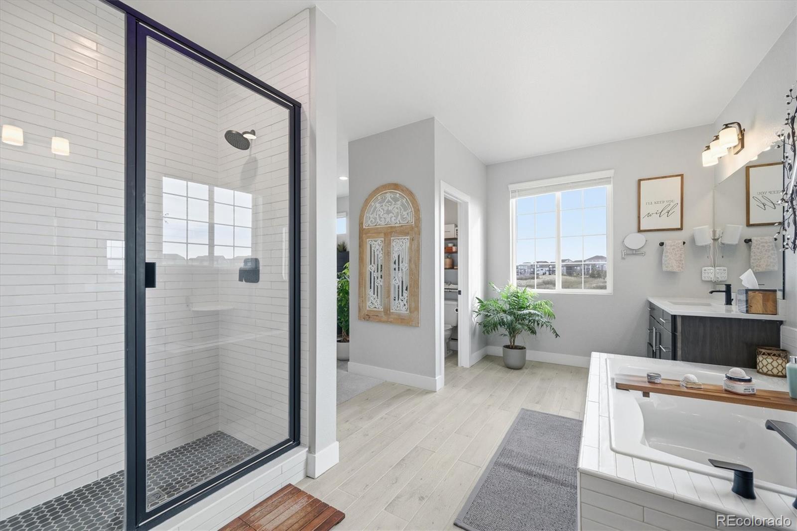 MLS Image #20 for 3069  carabiner street,castle rock, Colorado