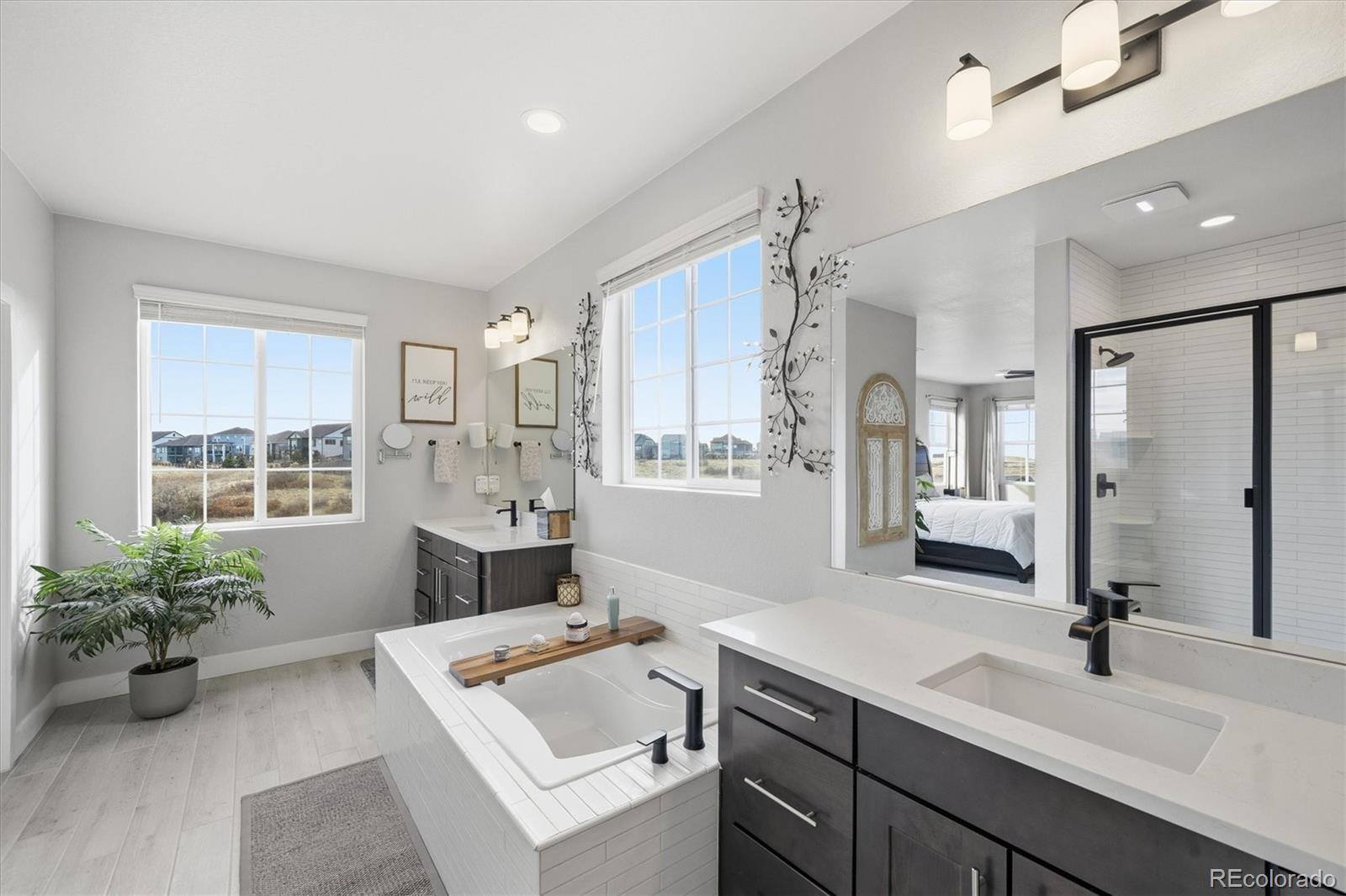 MLS Image #21 for 3069  carabiner street,castle rock, Colorado