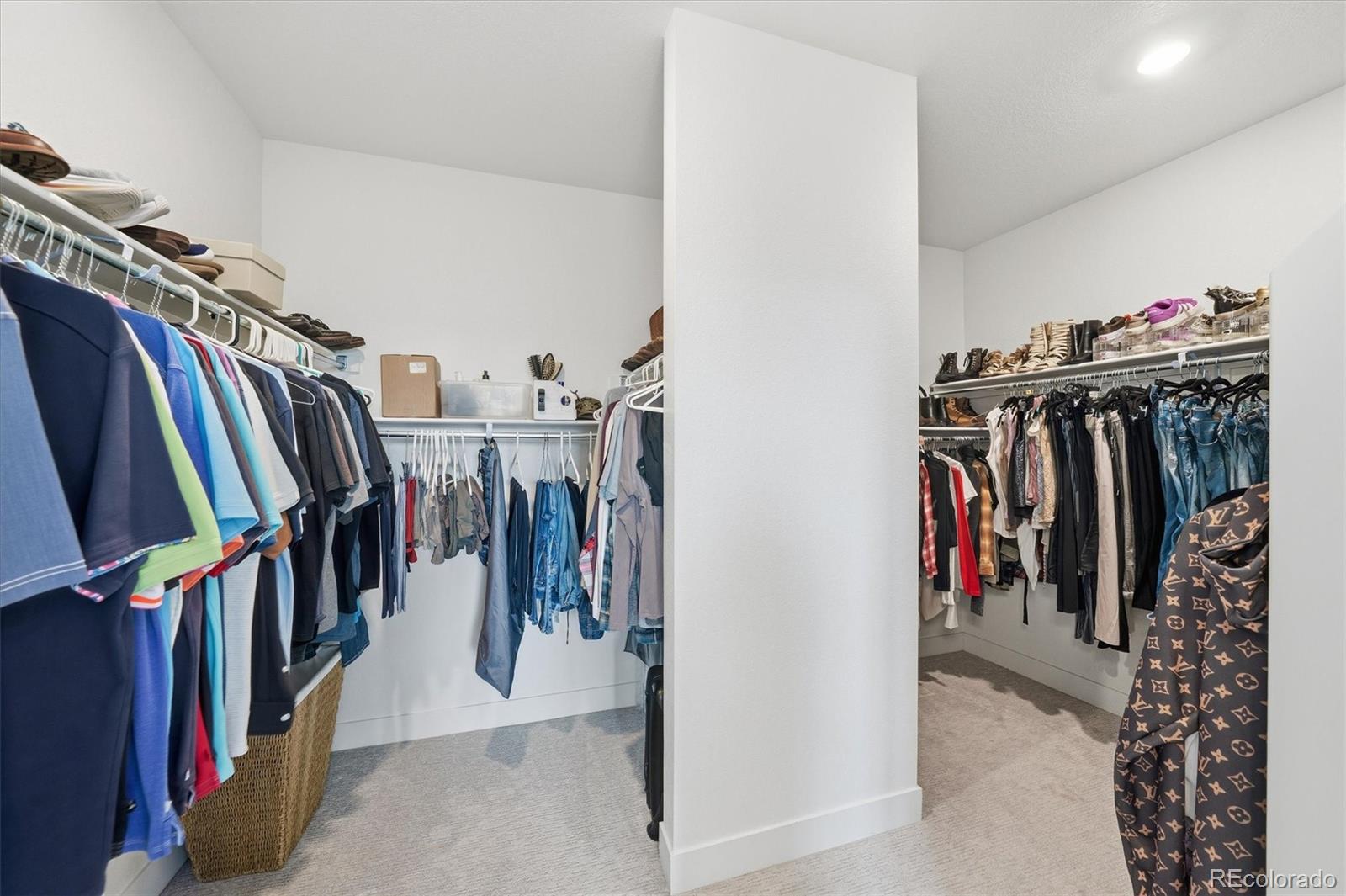 MLS Image #23 for 3069  carabiner street,castle rock, Colorado