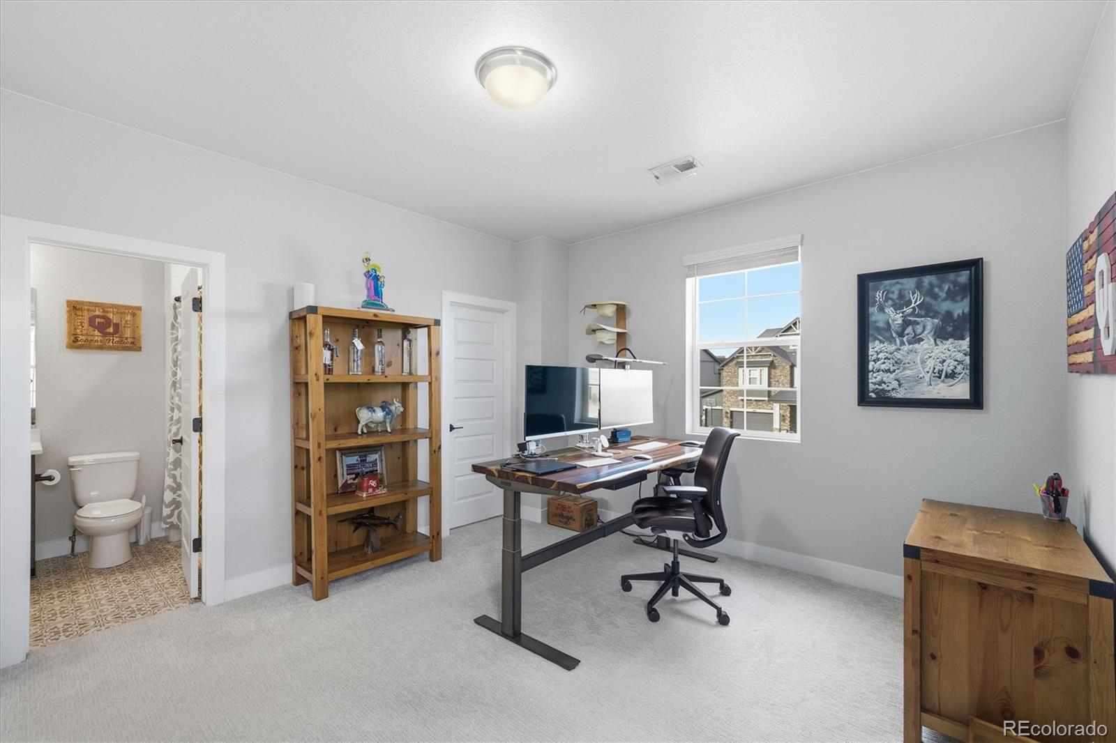MLS Image #30 for 3069  carabiner street,castle rock, Colorado