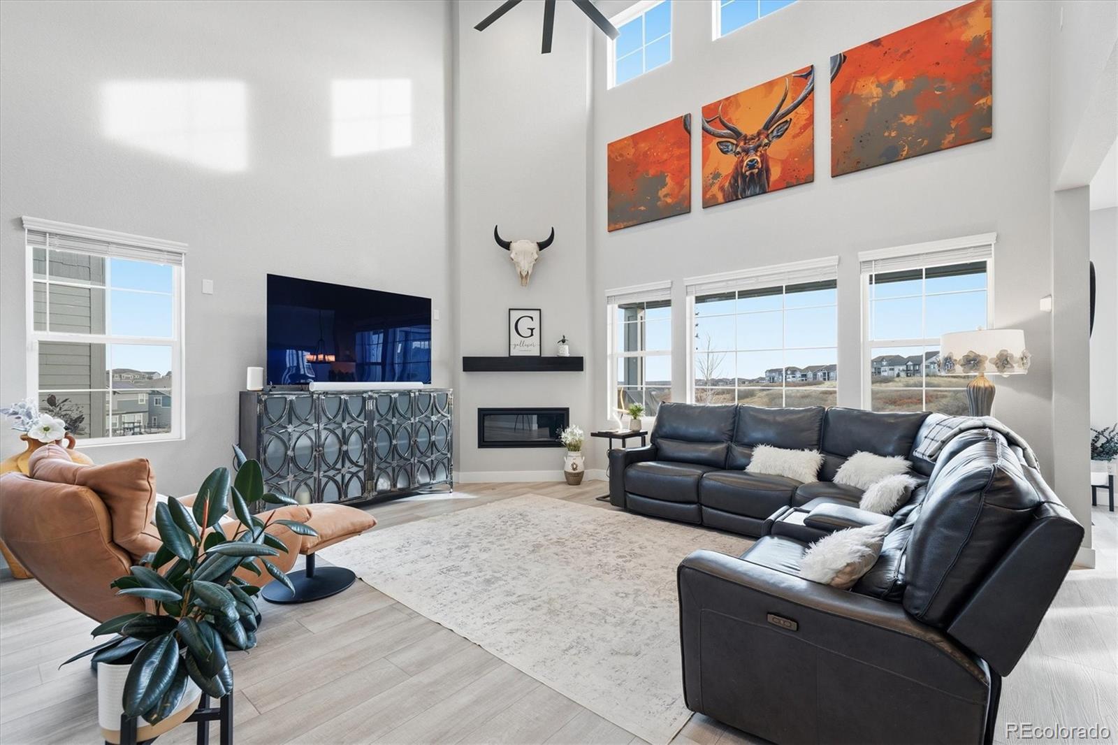 MLS Image #5 for 3069  carabiner street,castle rock, Colorado