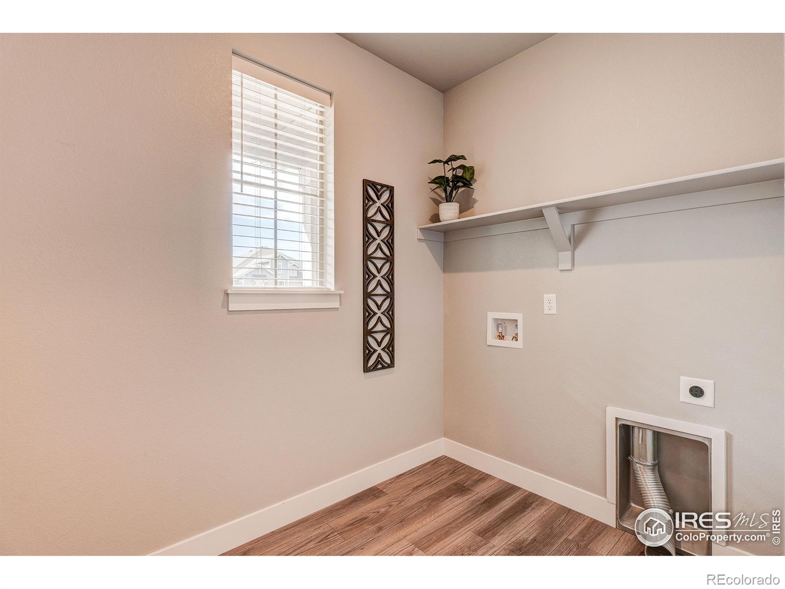 MLS Image #3 for 1837  crisp air drive,windsor, Colorado