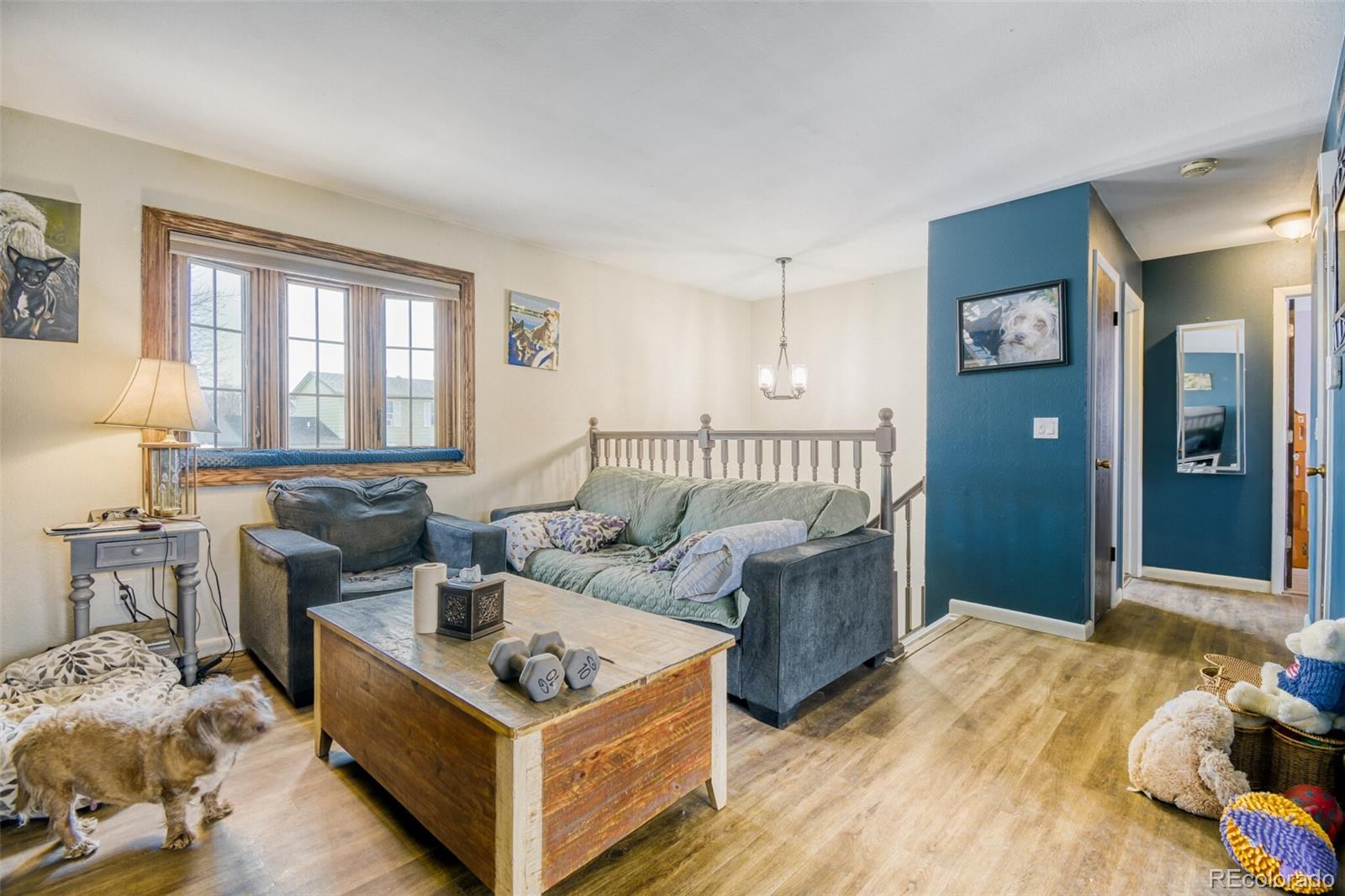 MLS Image #4 for 10721  owens street,broomfield, Colorado