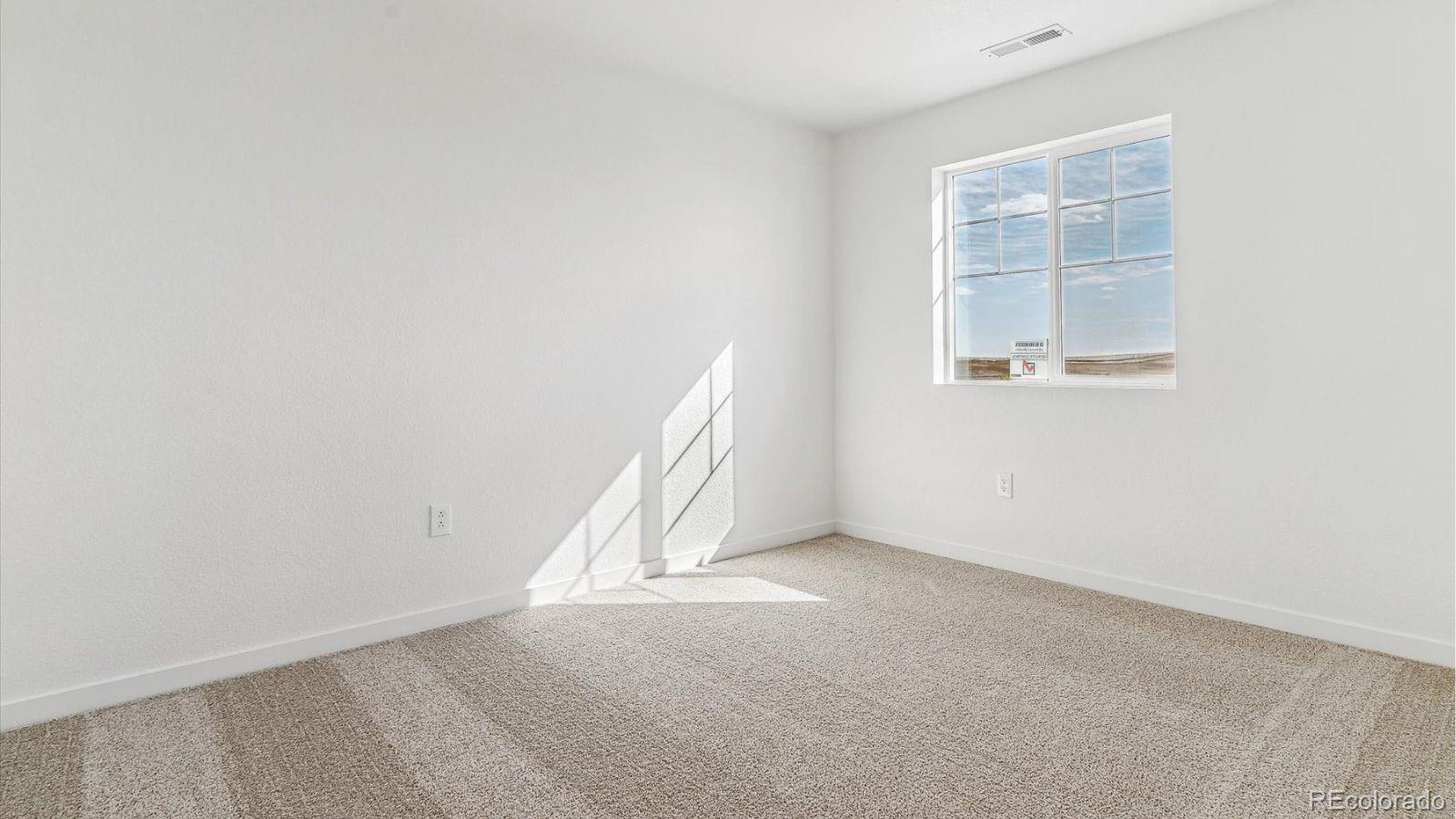 MLS Image #20 for 11643  reagan ridge drive,colorado springs, Colorado