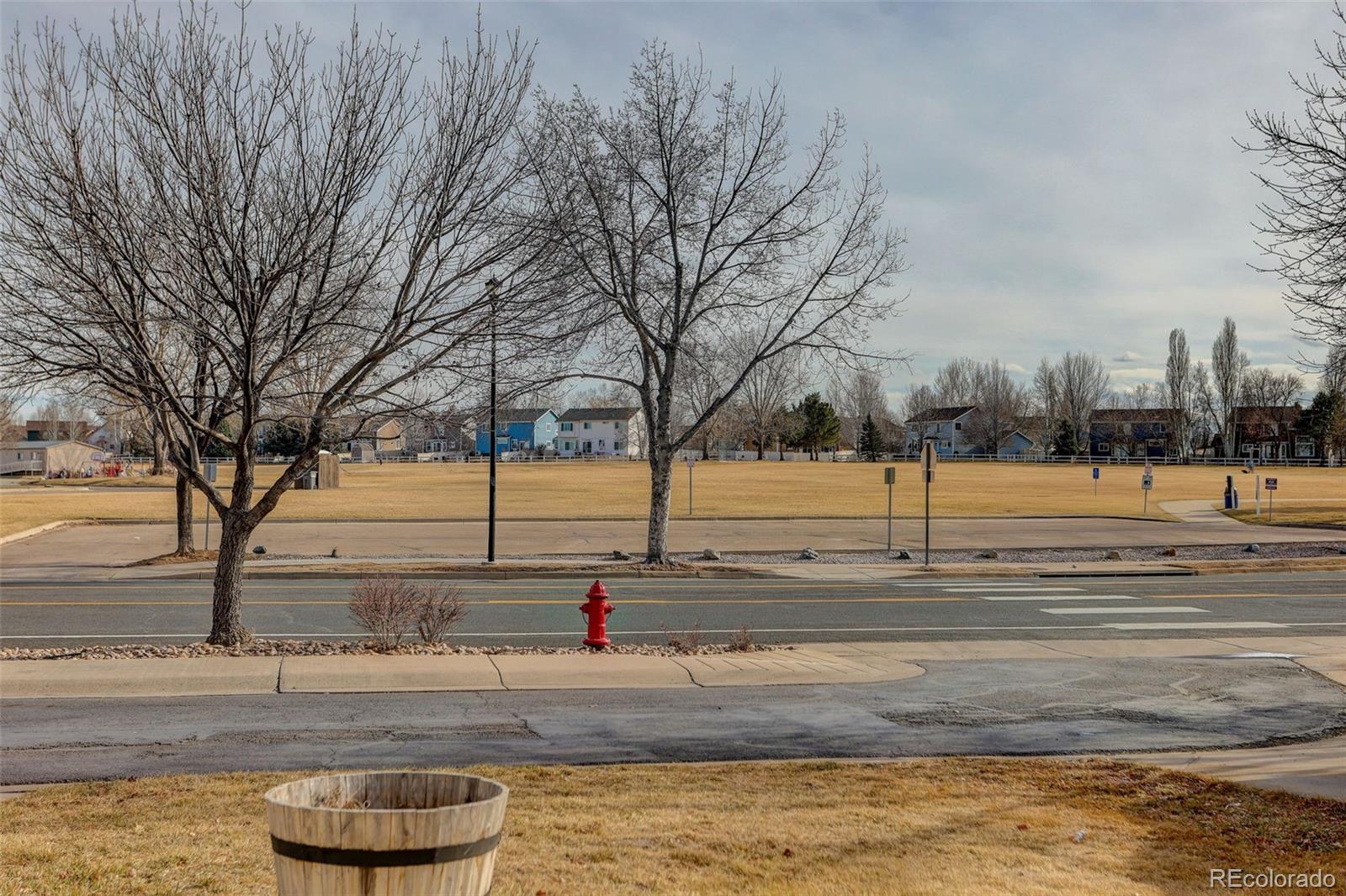 MLS Image #24 for 6483  st vrain ranch boulevard,firestone, Colorado