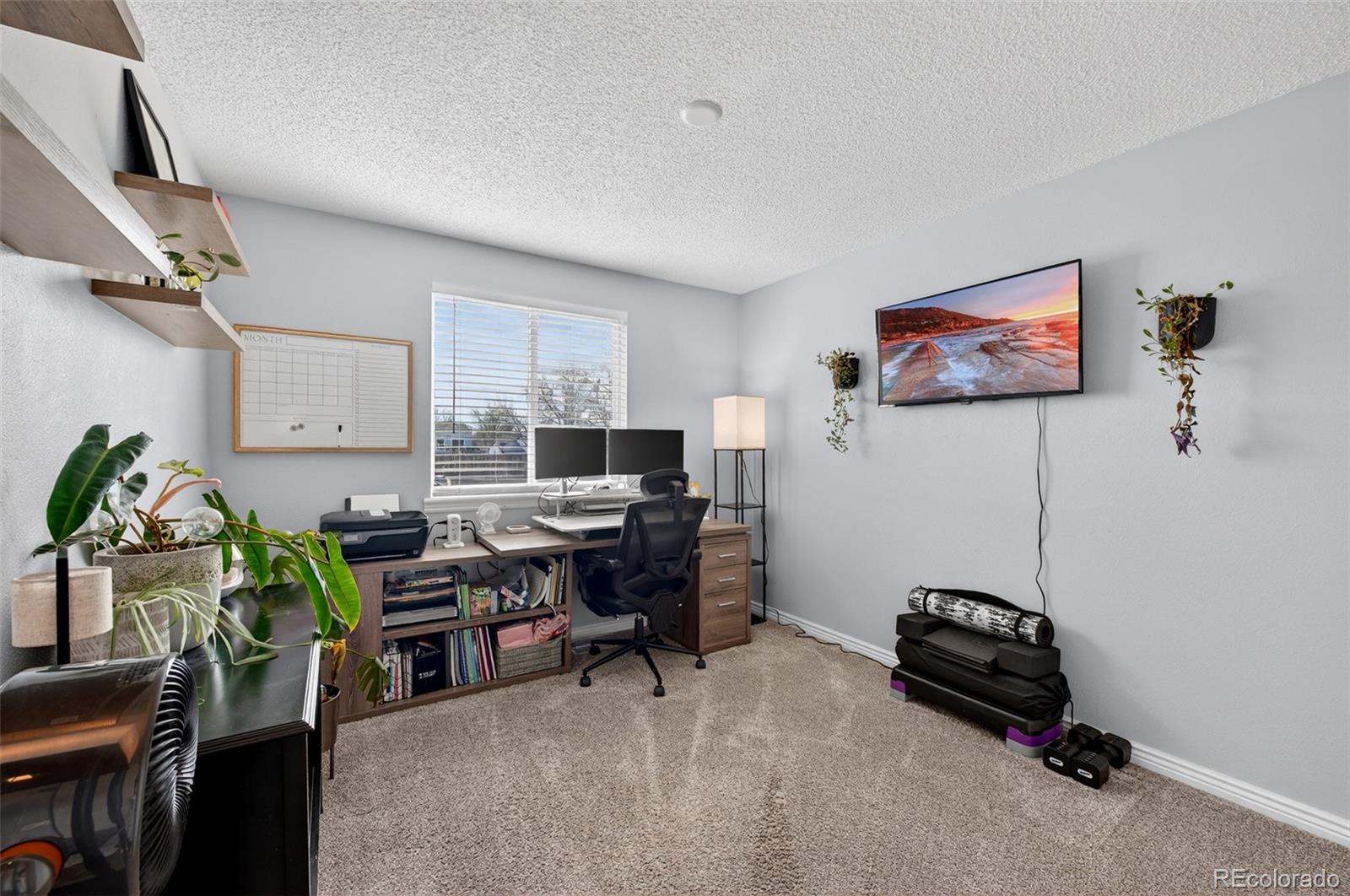 MLS Image #23 for 8745  aspen circle,parker, Colorado