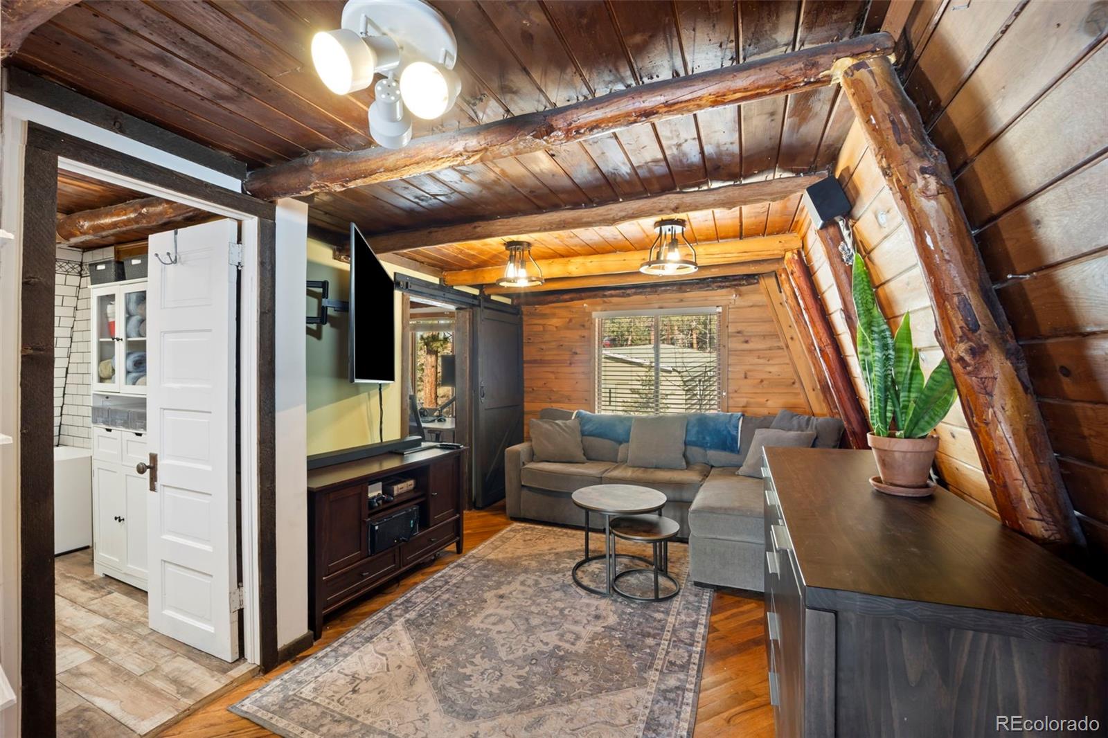 MLS Image #8 for 25874  mosier street,conifer, Colorado