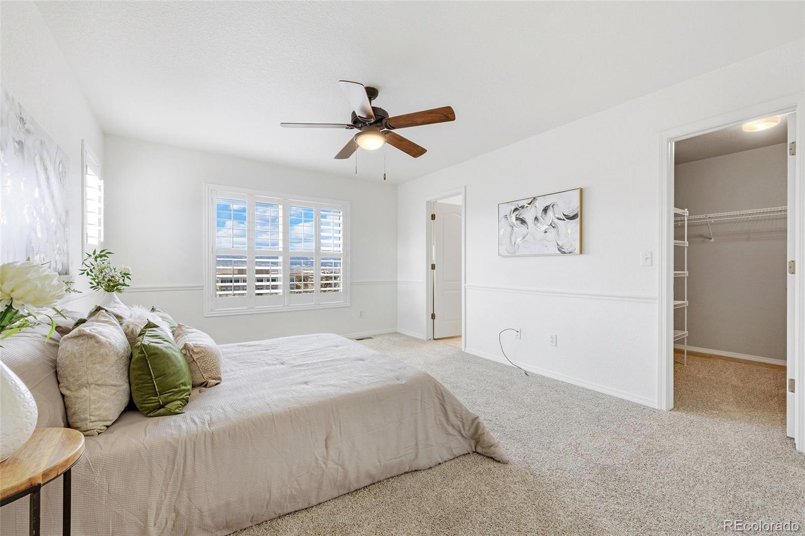 MLS Image #18 for 4039  morning glory road,colorado springs, Colorado