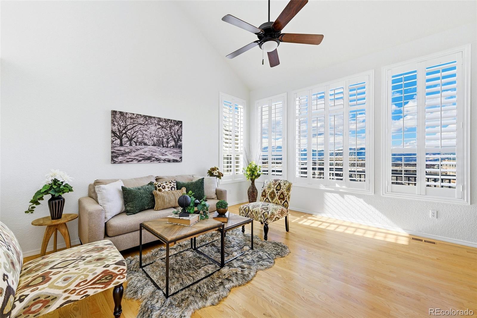 MLS Image #4 for 4039  morning glory road,colorado springs, Colorado
